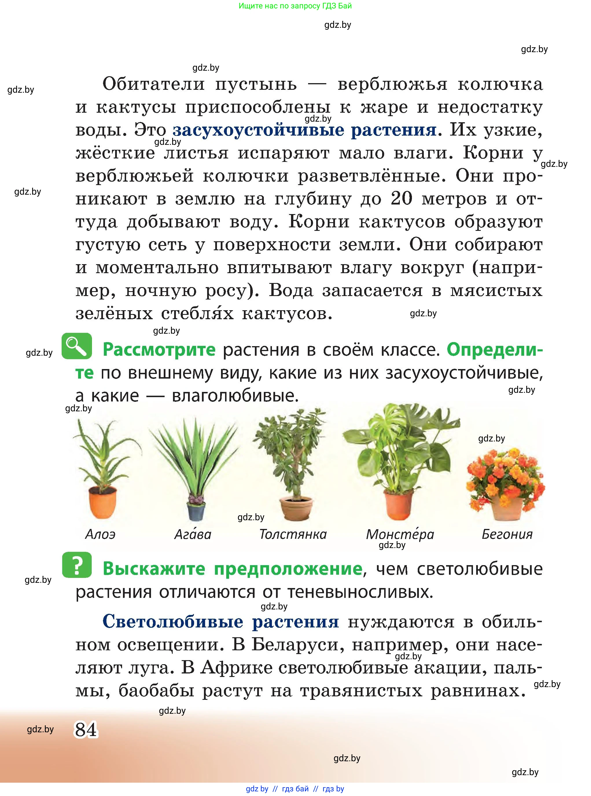 Человек и мир, 3 класс Учебник, авторы: Трафимова Галина Владимировна, Трафимов Сергей Анатольевич, издательство Академия образования, Минск, 2025, голубого цвета, страница 84