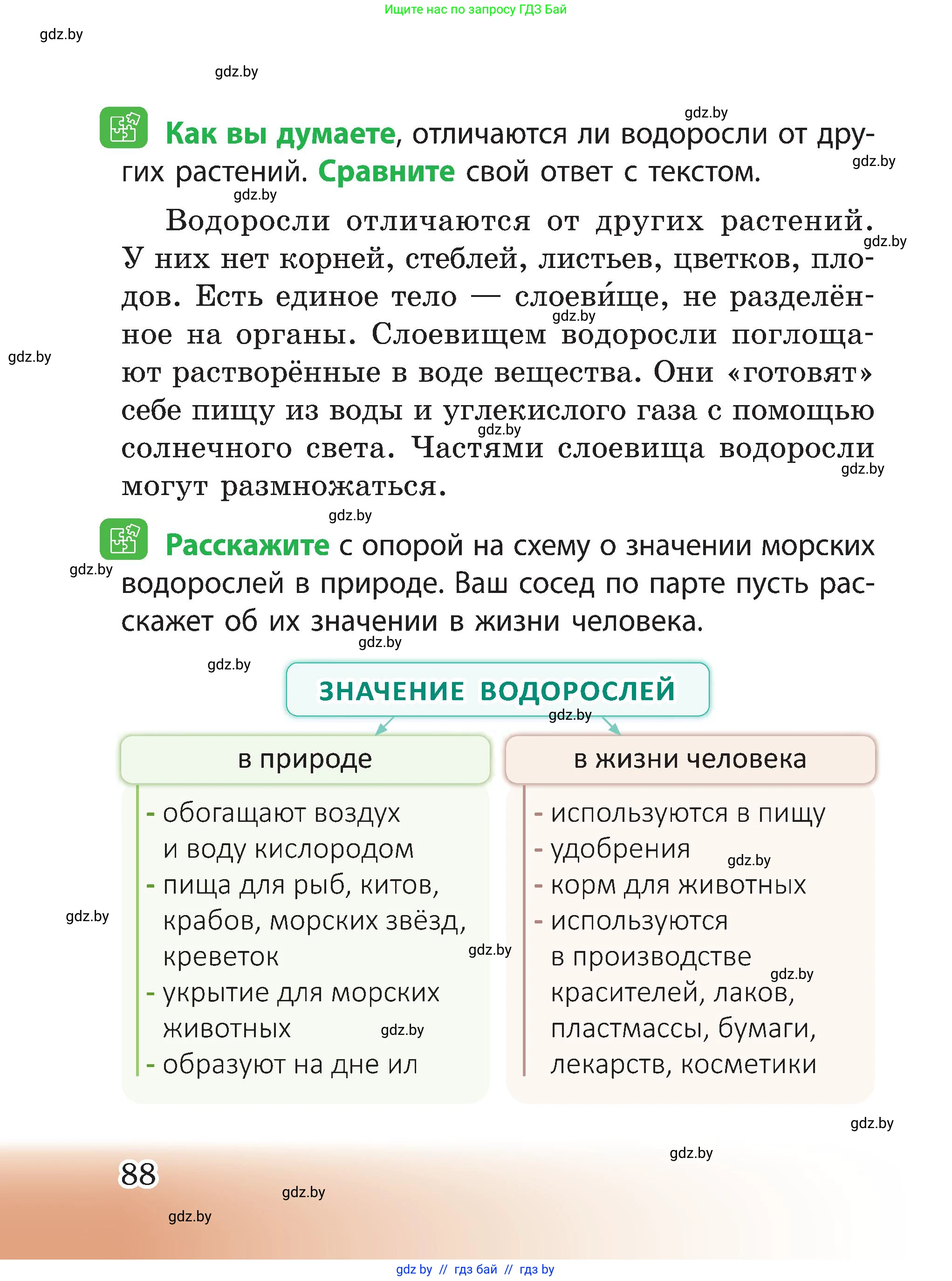 Человек и мир, 3 класс Учебник, авторы: Трафимова Галина Владимировна, Трафимов Сергей Анатольевич, издательство Академия образования, Минск, 2025, голубого цвета, страница 88
