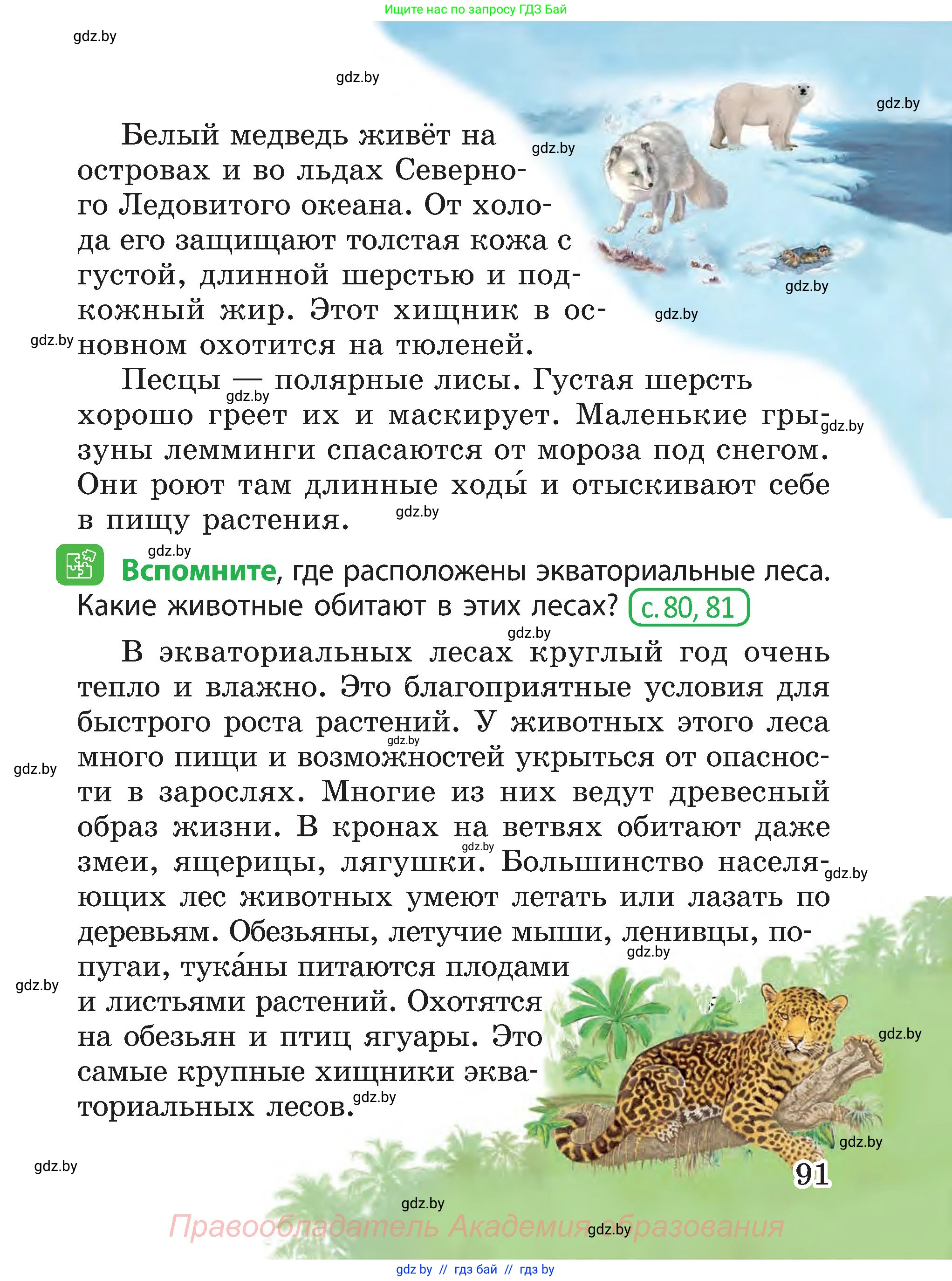 Человек и мир, 3 класс Учебник, авторы: Трафимова Галина Владимировна, Трафимов Сергей Анатольевич, издательство Академия образования, Минск, 2025, голубого цвета, страница 91