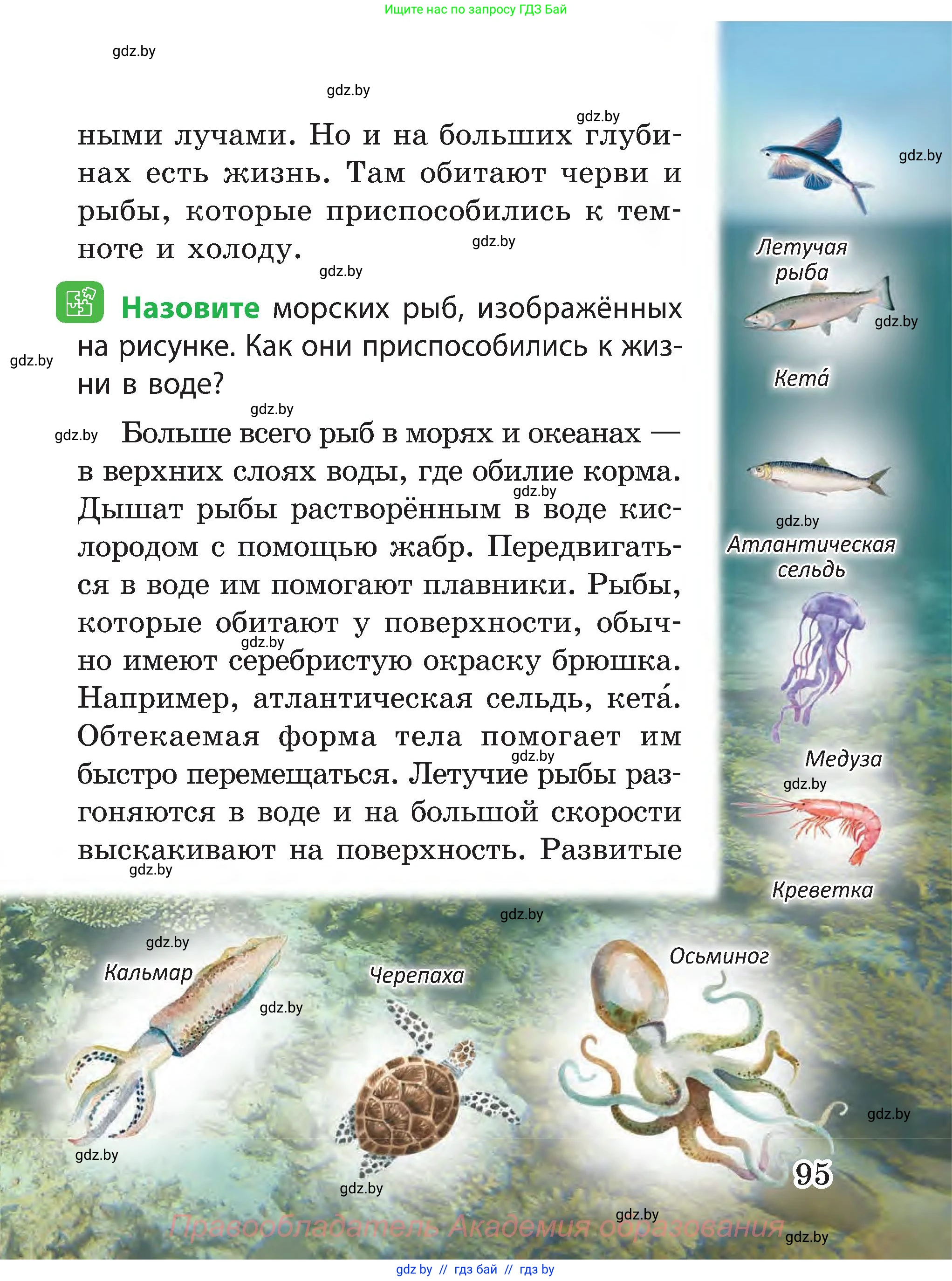 Человек и мир, 3 класс Учебник, авторы: Трафимова Галина Владимировна, Трафимов Сергей Анатольевич, издательство Академия образования, Минск, 2025, голубого цвета, страница 95