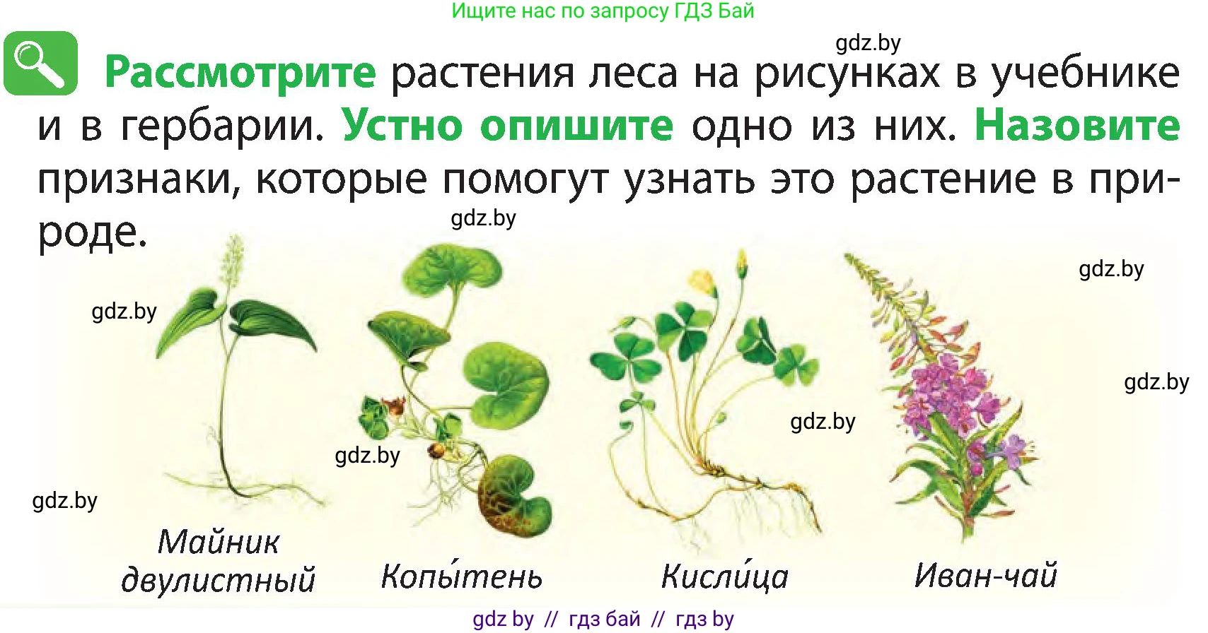 Человек и мир, 3 класс Учебник, авторы: Трафимова Галина Владимировна, Трафимов Сергей Анатольевич, издательство Академия образования, Минск, 2025, голубого цвета, страница 40, Условие