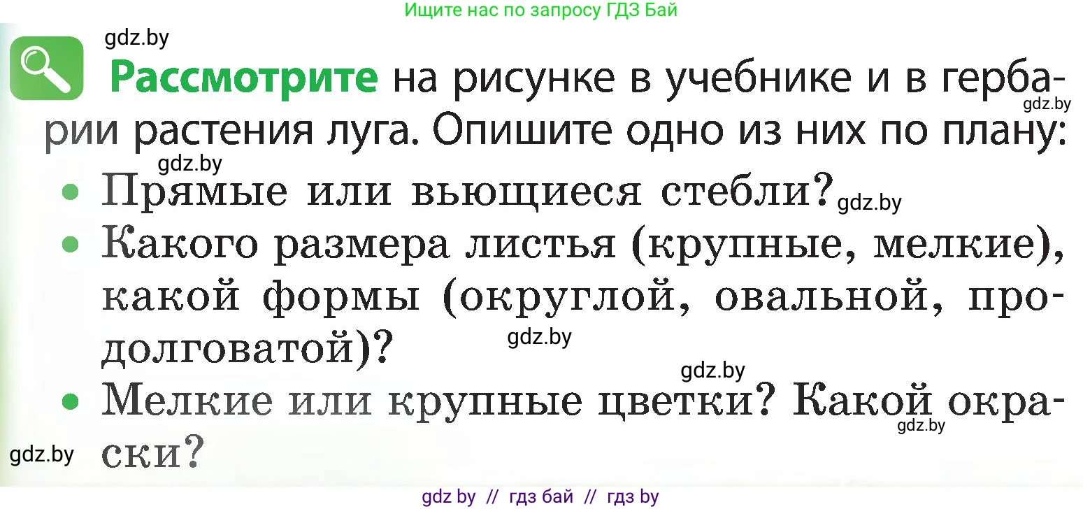 Человек и мир, 3 класс Учебник, авторы: Трафимова Галина Владимировна, Трафимов Сергей Анатольевич, издательство Академия образования, Минск, 2025, голубого цвета, страница 64, Условие