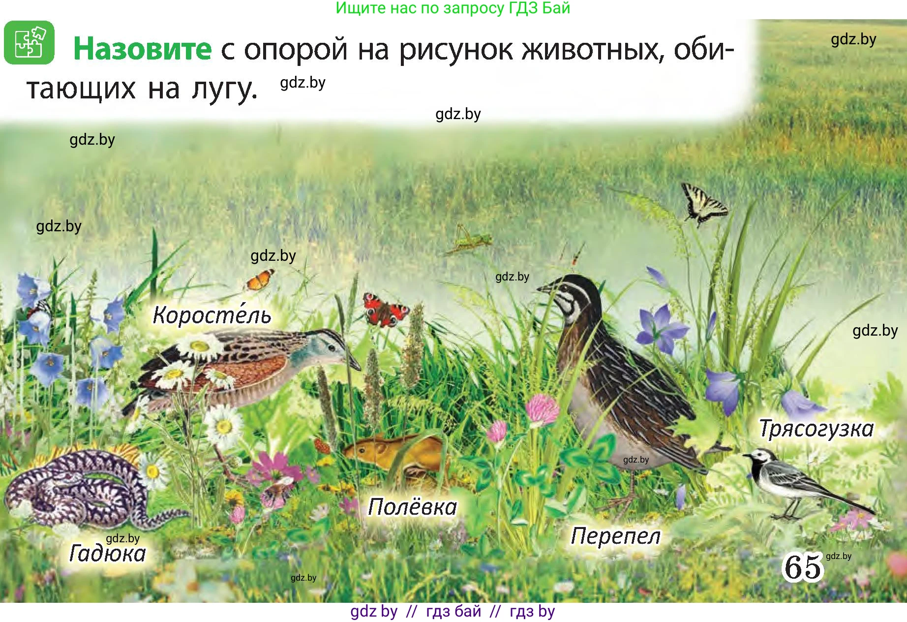 Человек и мир, 3 класс Учебник, авторы: Трафимова Галина Владимировна, Трафимов Сергей Анатольевич, издательство Академия образования, Минск, 2025, голубого цвета, страница 65, Условие