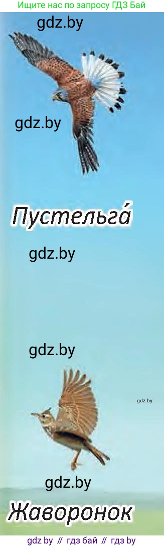 Человек и мир, 3 класс Учебник, авторы: Трафимова Галина Владимировна, Трафимов Сергей Анатольевич, издательство Академия образования, Минск, 2025, голубого цвета, страница 65, Условие (продолжение 2)