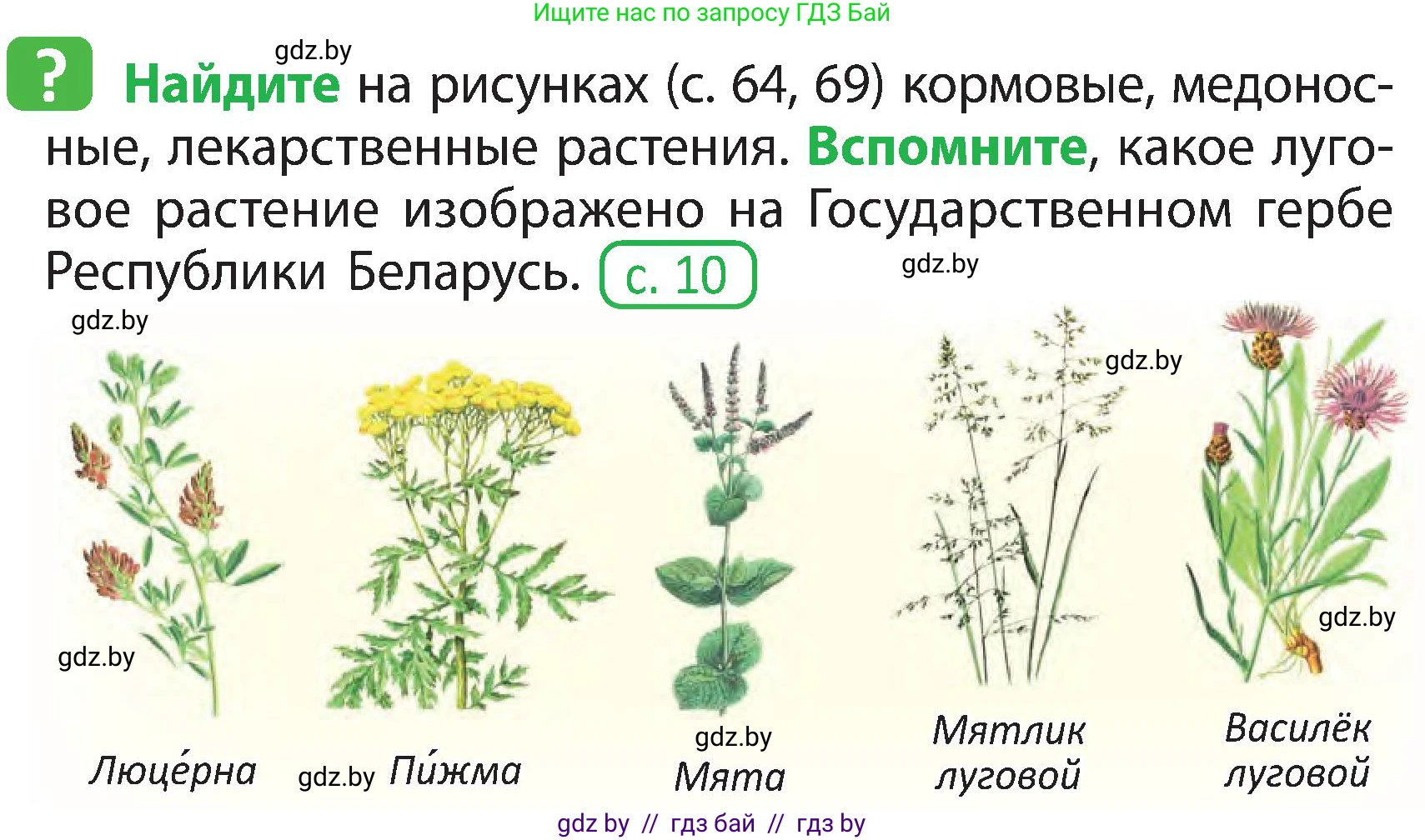 Человек и мир, 3 класс Учебник, авторы: Трафимова Галина Владимировна, Трафимов Сергей Анатольевич, издательство Академия образования, Минск, 2025, голубого цвета, страница 69, Условие