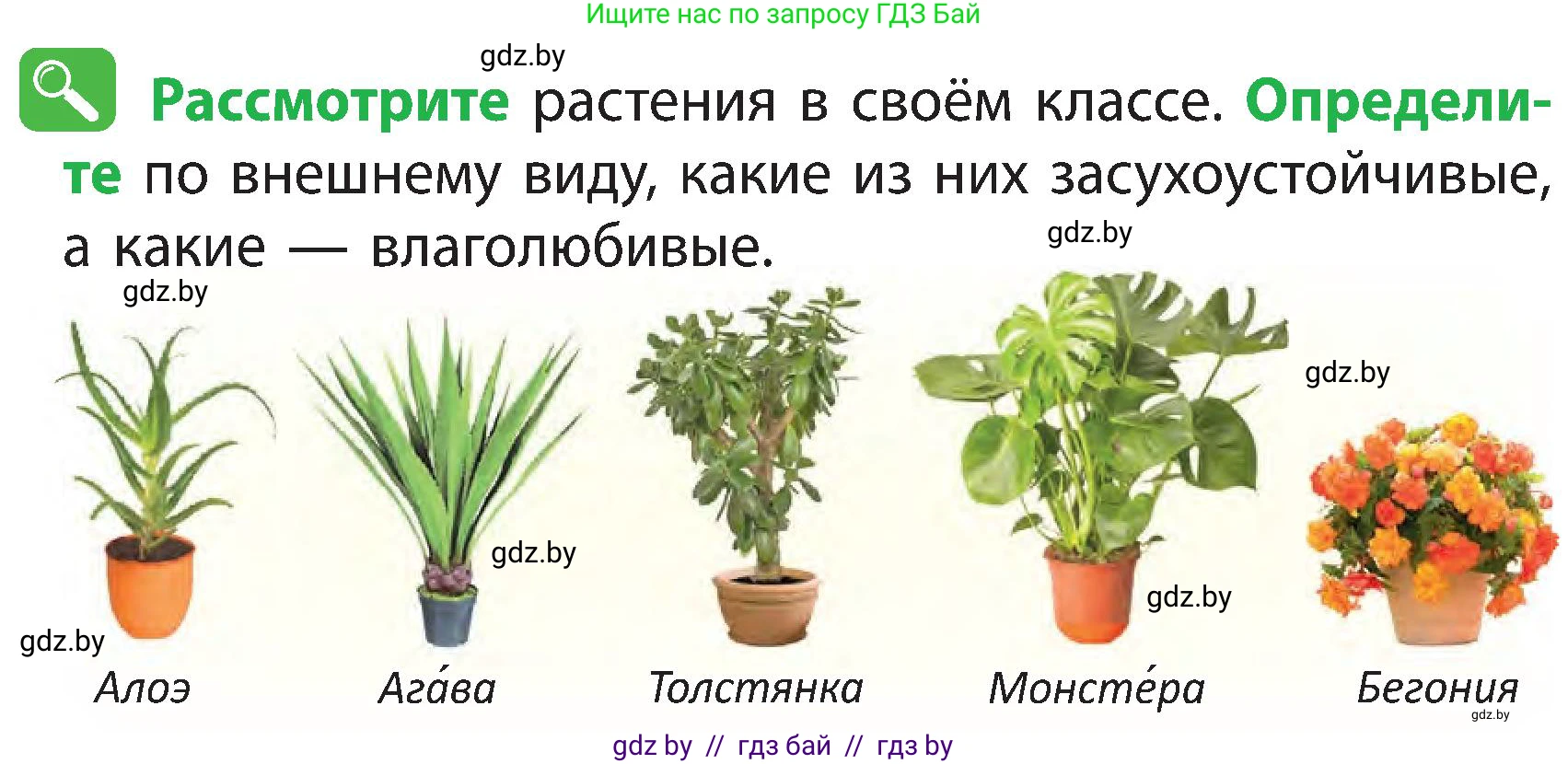 Человек и мир, 3 класс Учебник, авторы: Трафимова Галина Владимировна, Трафимов Сергей Анатольевич, издательство Академия образования, Минск, 2025, голубого цвета, страница 84, Условие