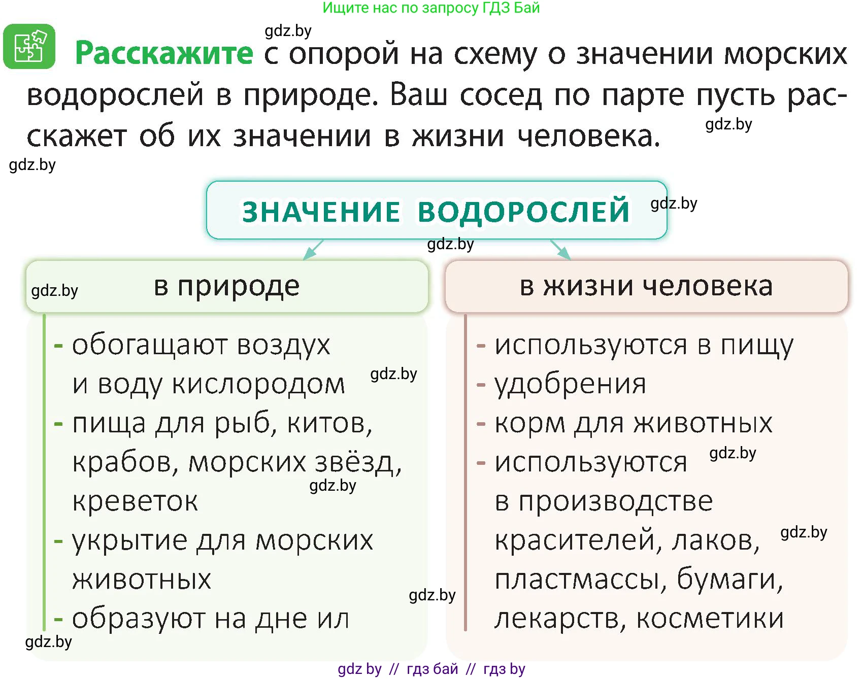 Человек и мир, 3 класс Учебник, авторы: Трафимова Галина Владимировна, Трафимов Сергей Анатольевич, издательство Академия образования, Минск, 2025, голубого цвета, страница 88, Условие