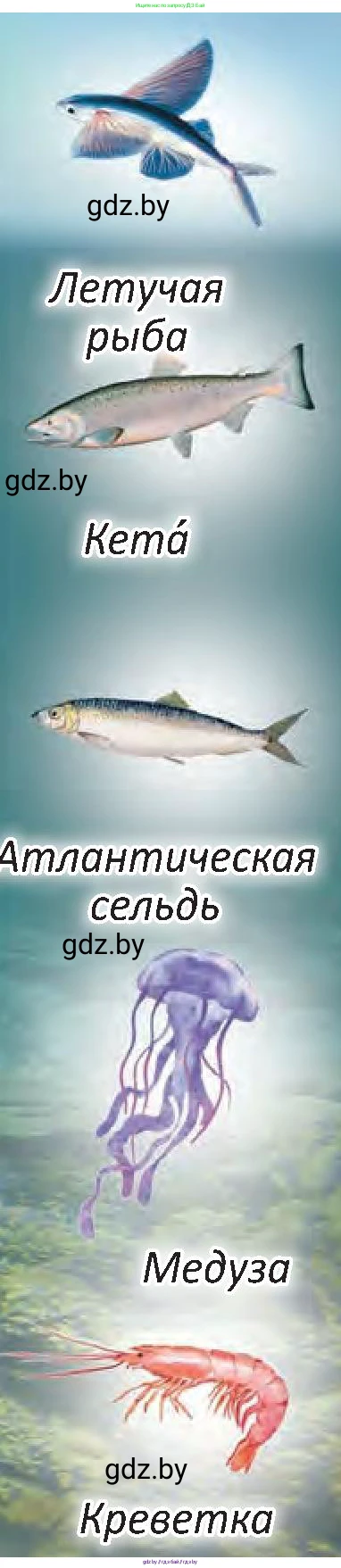 Человек и мир, 3 класс Учебник, авторы: Трафимова Галина Владимировна, Трафимов Сергей Анатольевич, издательство Академия образования, Минск, 2025, голубого цвета, страница 95, Условие (продолжение 2)