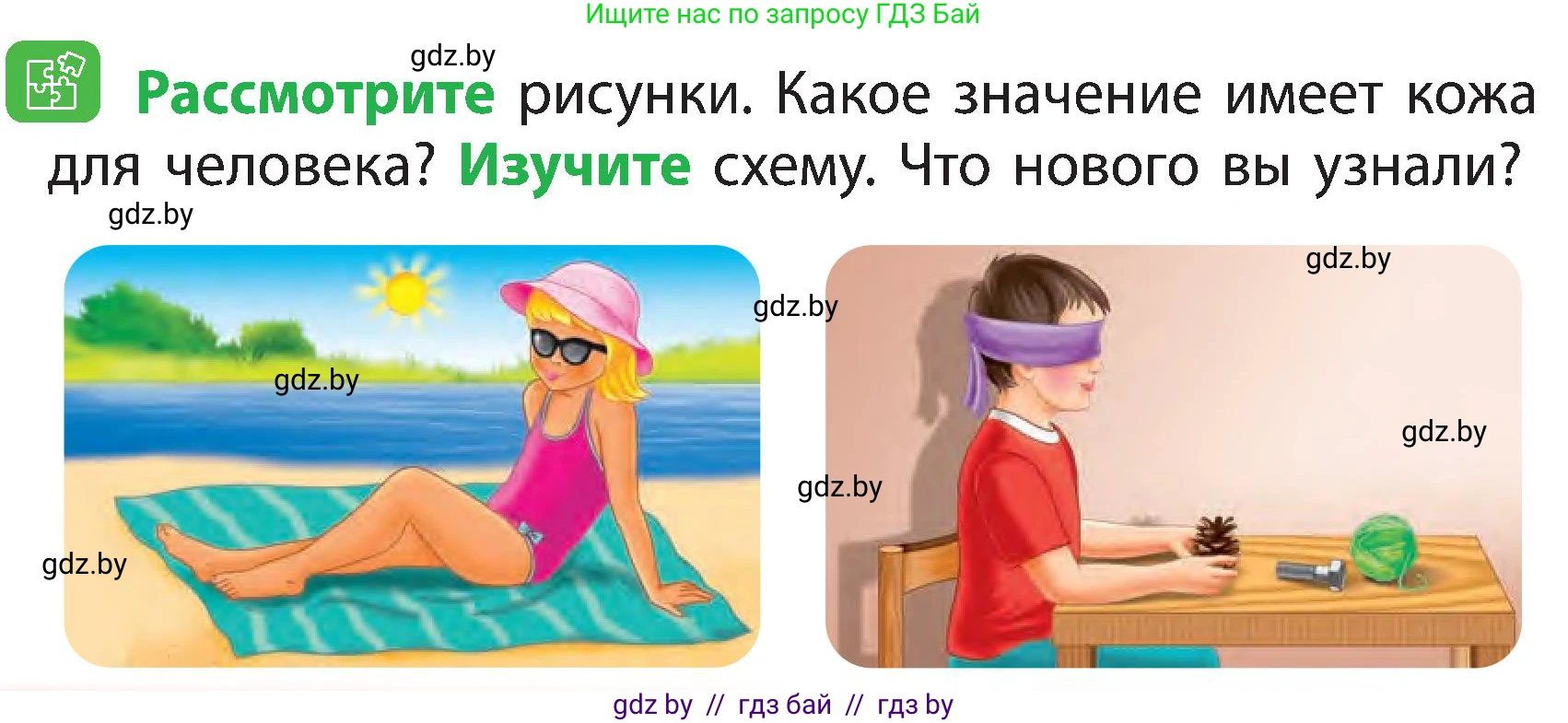 Человек и мир, 3 класс Учебник, авторы: Трафимова Галина Владимировна, Трафимов Сергей Анатольевич, издательство Академия образования, Минск, 2025, голубого цвета, страница 104, Условие