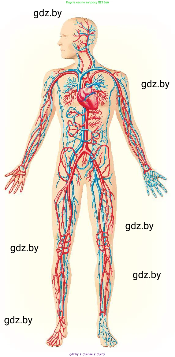 Человек и мир, 3 класс Учебник, авторы: Трафимова Галина Владимировна, Трафимов Сергей Анатольевич, издательство Академия образования, Минск, 2025, голубого цвета, страница 111, Условие (продолжение 2)