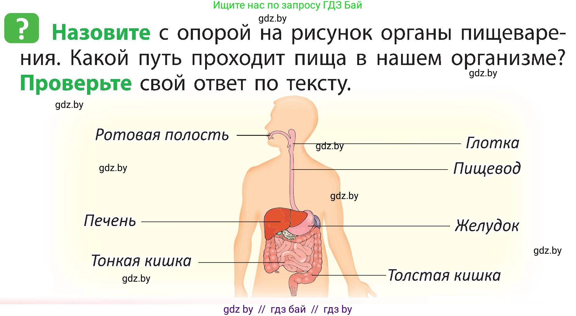 Человек и мир, 3 класс Учебник, авторы: Трафимова Галина Владимировна, Трафимов Сергей Анатольевич, издательство Академия образования, Минск, 2025, голубого цвета, страница 118, Условие