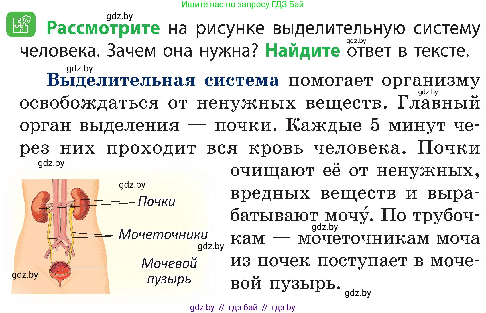Человек и мир, 3 класс Учебник, авторы: Трафимова Галина Владимировна, Трафимов Сергей Анатольевич, издательство Академия образования, Минск, 2025, голубого цвета, страница 120, Условие