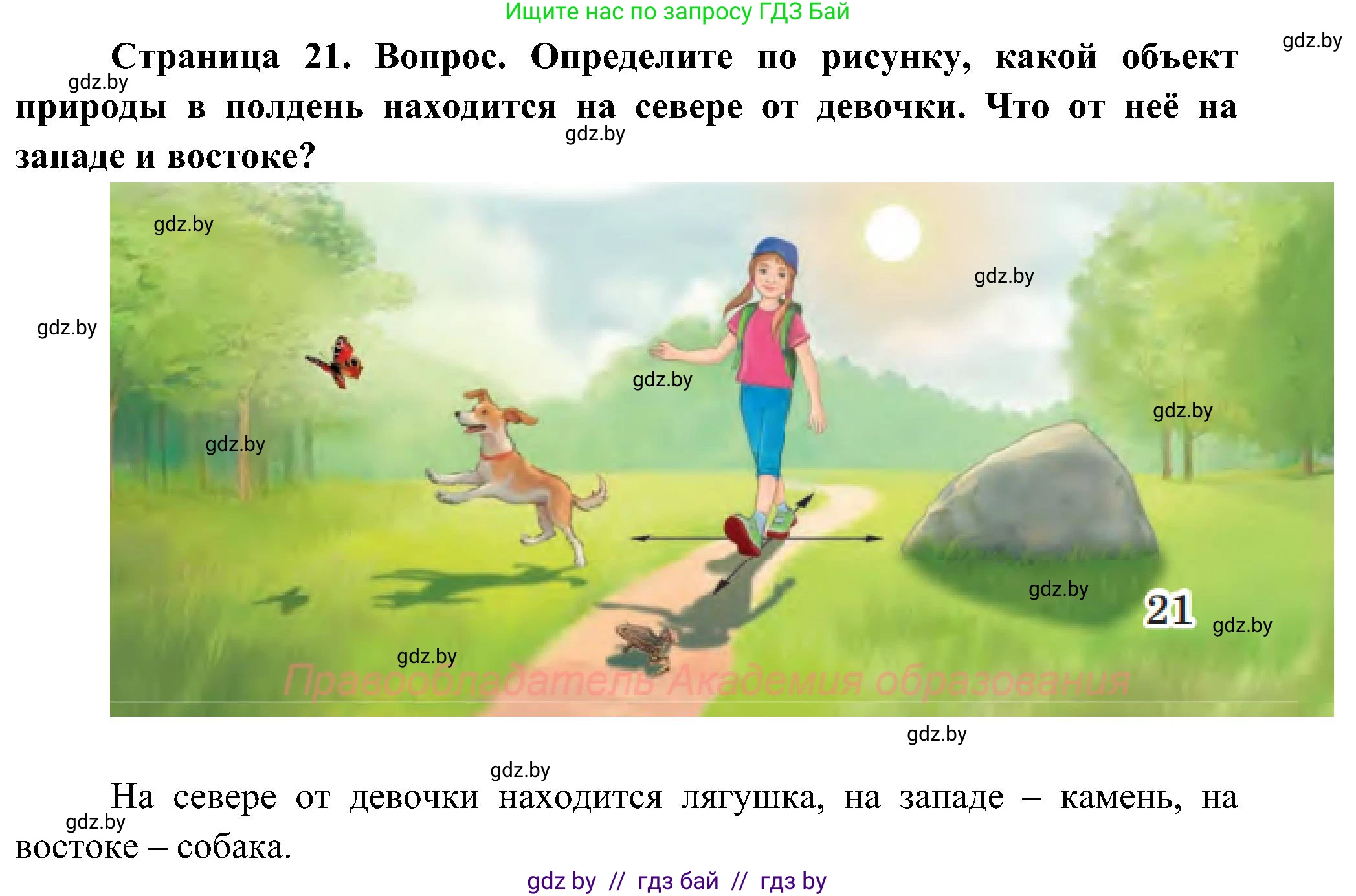 Человек и мир, 3 класс Учебник, авторы: Трафимова Галина Владимировна, Трафимов Сергей Анатольевич, издательство Академия образования, Минск, 2025, голубого цвета, страница 21, Решение