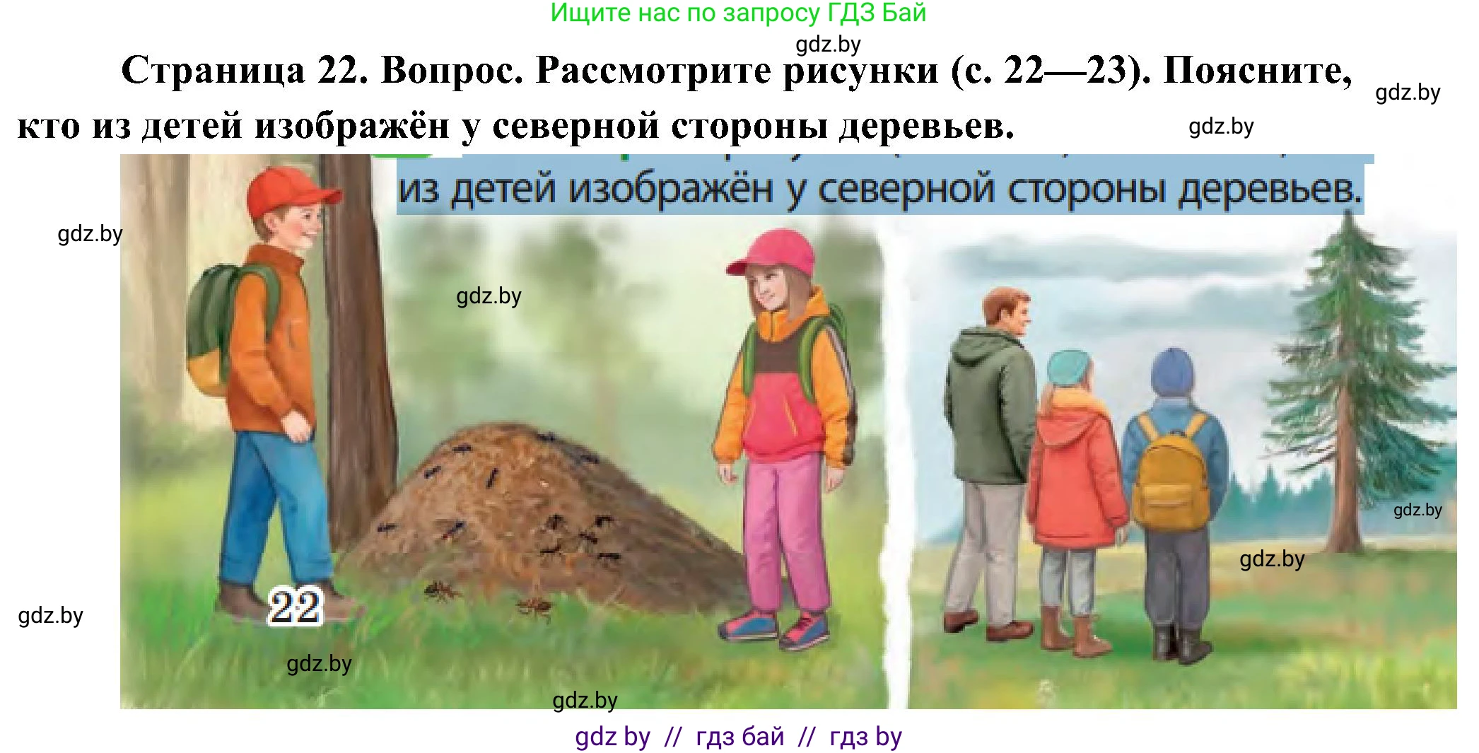 Человек и мир, 3 класс Учебник, авторы: Трафимова Галина Владимировна, Трафимов Сергей Анатольевич, издательство Академия образования, Минск, 2025, голубого цвета, страница 22, Решение