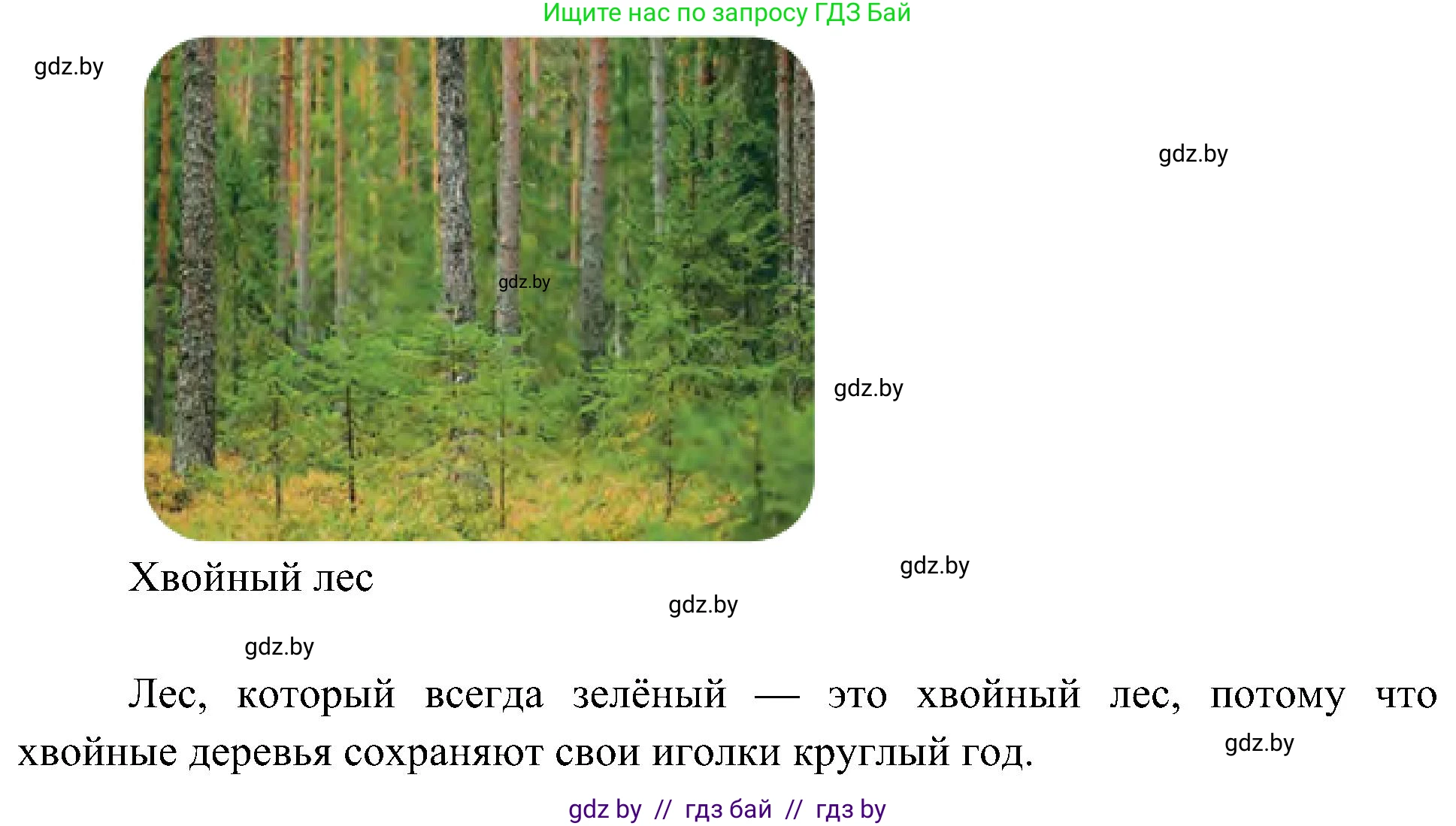 Человек и мир, 3 класс Учебник, авторы: Трафимова Галина Владимировна, Трафимов Сергей Анатольевич, издательство Академия образования, Минск, 2025, голубого цвета, страница 39, Решение (продолжение 2)
