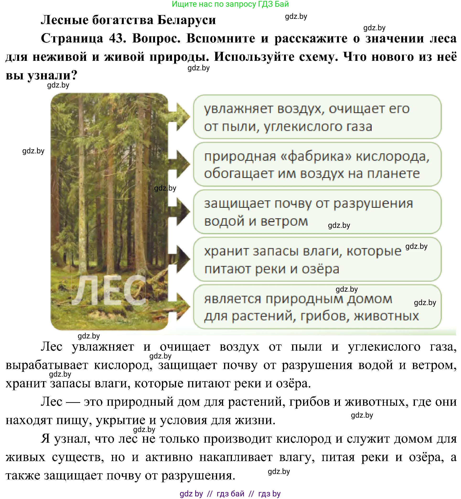 Человек и мир, 3 класс Учебник, авторы: Трафимова Галина Владимировна, Трафимов Сергей Анатольевич, издательство Академия образования, Минск, 2025, голубого цвета, страница 43, Решение