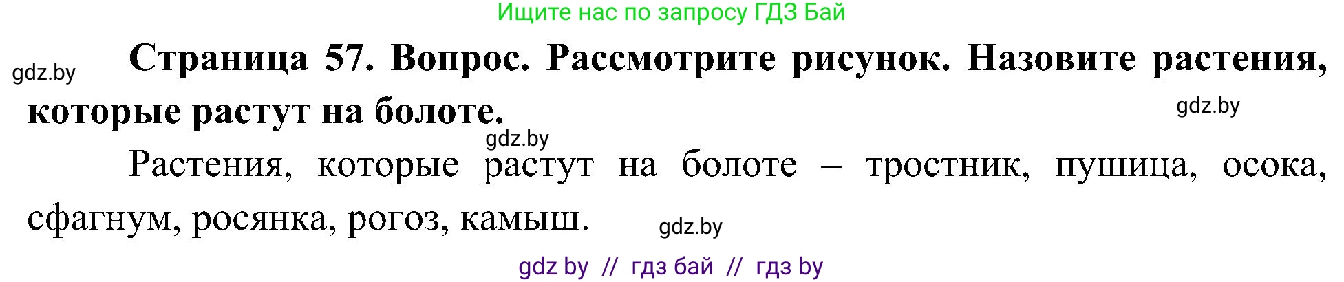 Человек и мир, 3 класс Учебник, авторы: Трафимова Галина Владимировна, Трафимов Сергей Анатольевич, издательство Академия образования, Минск, 2025, голубого цвета, страница 57, Решение