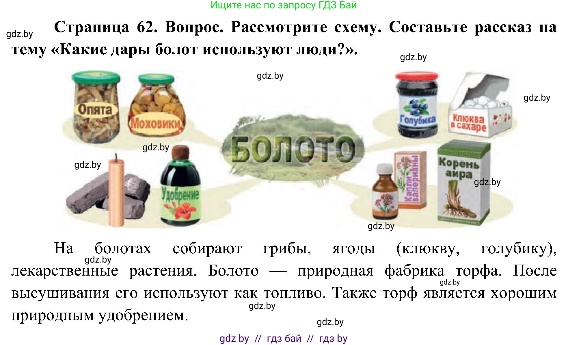 Человек и мир, 3 класс Учебник, авторы: Трафимова Галина Владимировна, Трафимов Сергей Анатольевич, издательство Академия образования, Минск, 2025, голубого цвета, страница 62, Решение