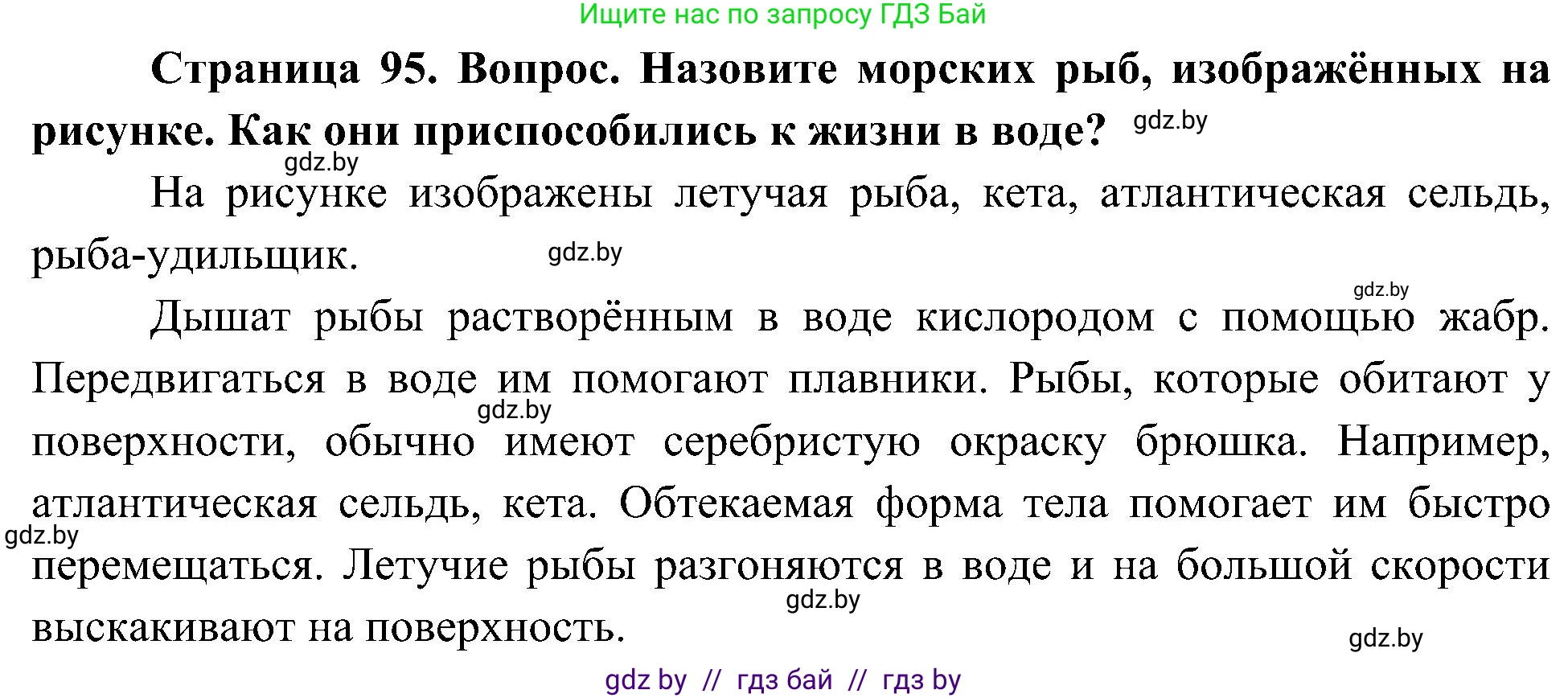 Человек и мир, 3 класс Учебник, авторы: Трафимова Галина Владимировна, Трафимов Сергей Анатольевич, издательство Академия образования, Минск, 2025, голубого цвета, страница 95, Решение
