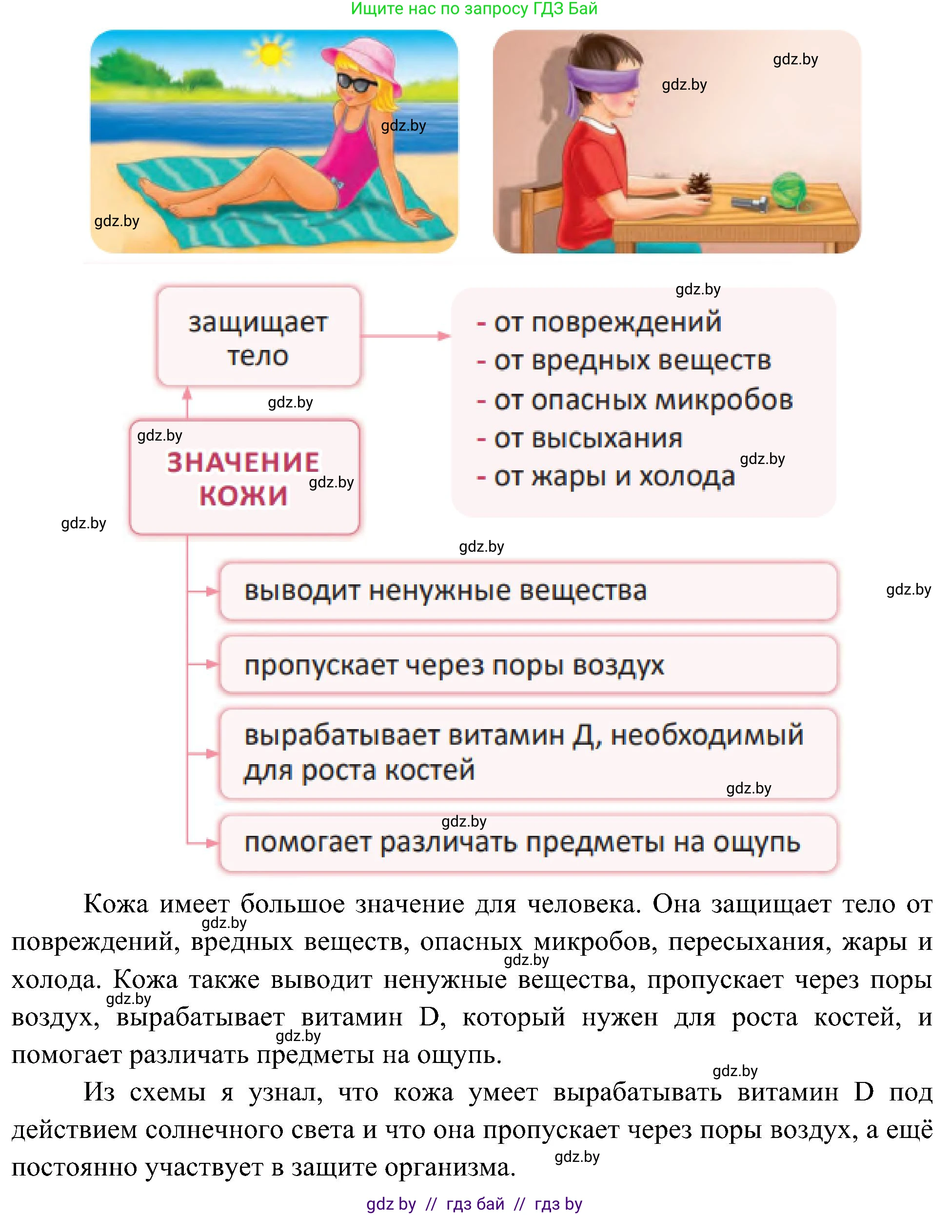 Человек и мир, 3 класс Учебник, авторы: Трафимова Галина Владимировна, Трафимов Сергей Анатольевич, издательство Академия образования, Минск, 2025, голубого цвета, страница 104, Решение (продолжение 2)