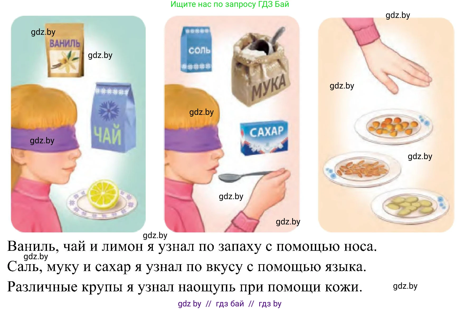 Человек и мир, 3 класс Учебник, авторы: Трафимова Галина Владимировна, Трафимов Сергей Анатольевич, издательство Академия образования, Минск, 2025, голубого цвета, страница 131, Решение (продолжение 2)