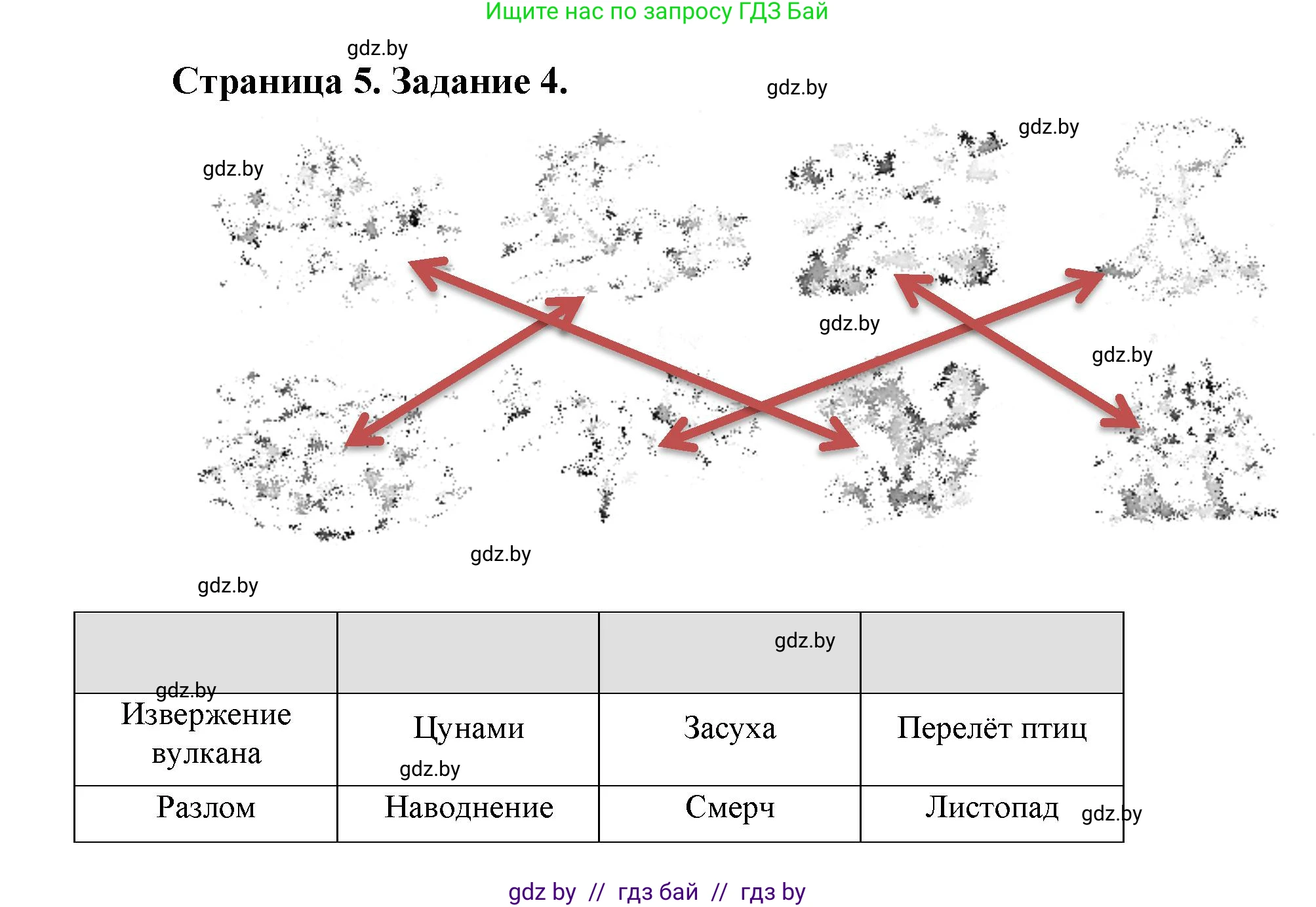 Человек и мир, 5 класс Практикум, авторы: Кольмакова Елена Генадьевна, Сарычева Ольга Владимировна, издательство Аверсэв, Минск, 2022, голубого цвета, страница 5, номер 4, Решение
