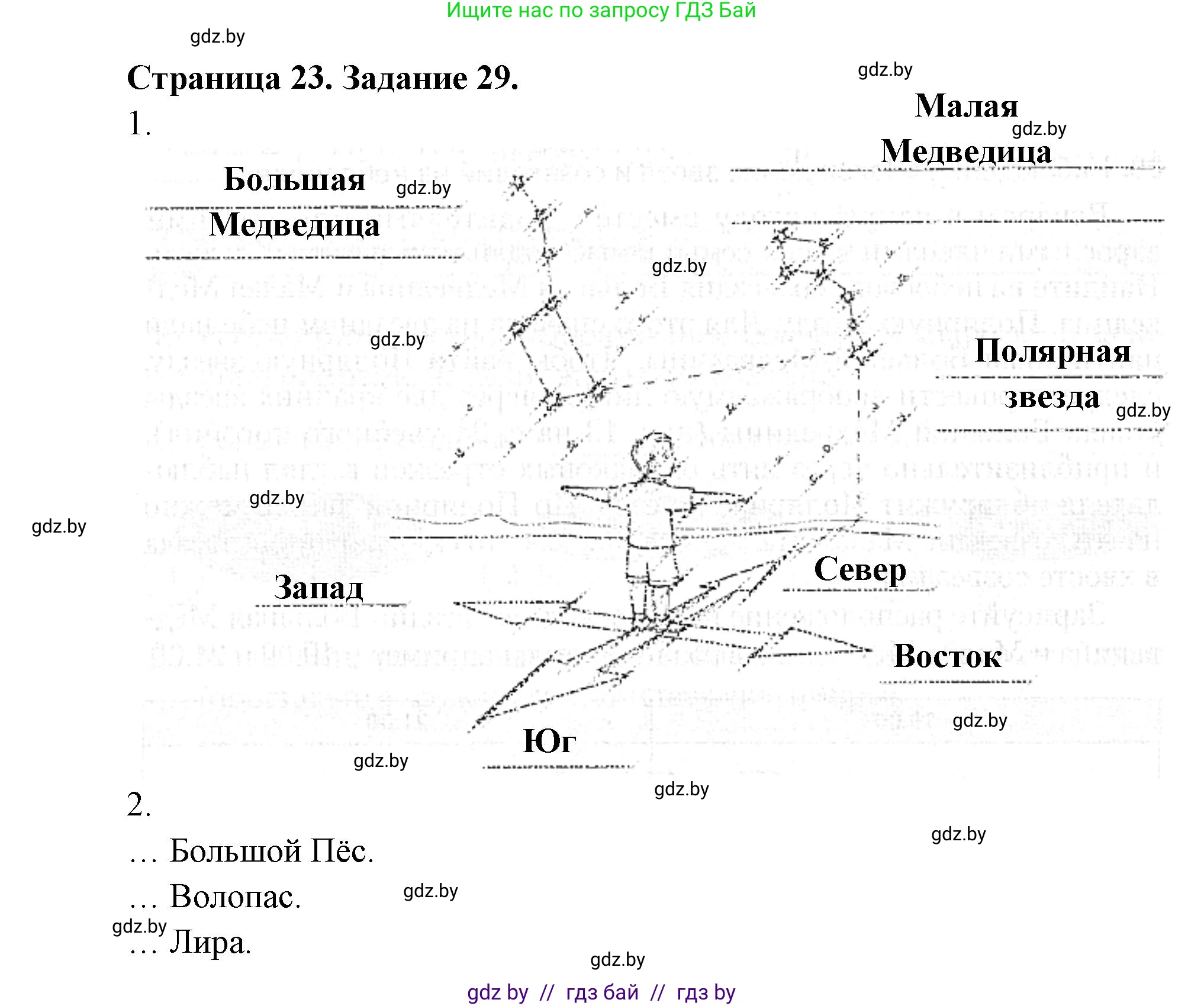 Человек и мир, 5 класс Практикум, авторы: Кольмакова Елена Генадьевна, Сарычева Ольга Владимировна, издательство Аверсэв, Минск, 2022, голубого цвета, страница 23, номер 29, Решение