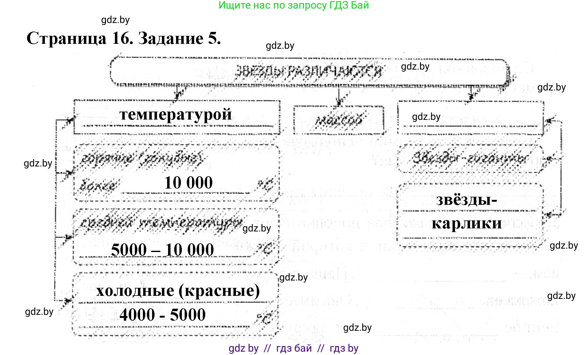 Человек и мир, 5 класс Практикум, авторы: Кольмакова Елена Генадьевна, Сарычева Ольга Владимировна, издательство Аверсэв, Минск, 2022, голубого цвета, страница 16, номер 5, Решение