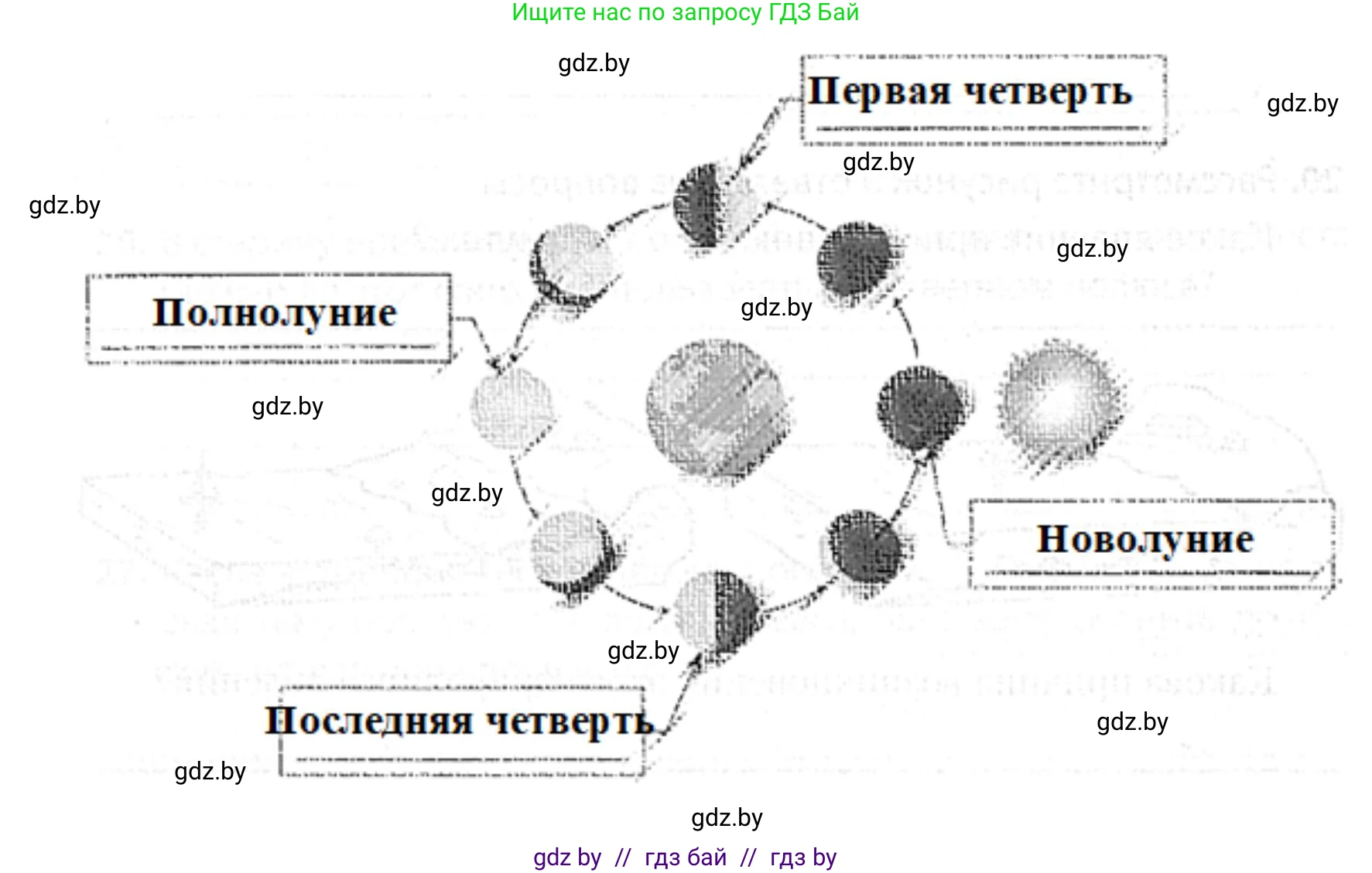 Человек и мир, 5 класс Практикум, авторы: Кольмакова Елена Генадьевна, Сарычева Ольга Владимировна, издательство Аверсэв, Минск, 2022, голубого цвета, страница 31, номер 18, Решение