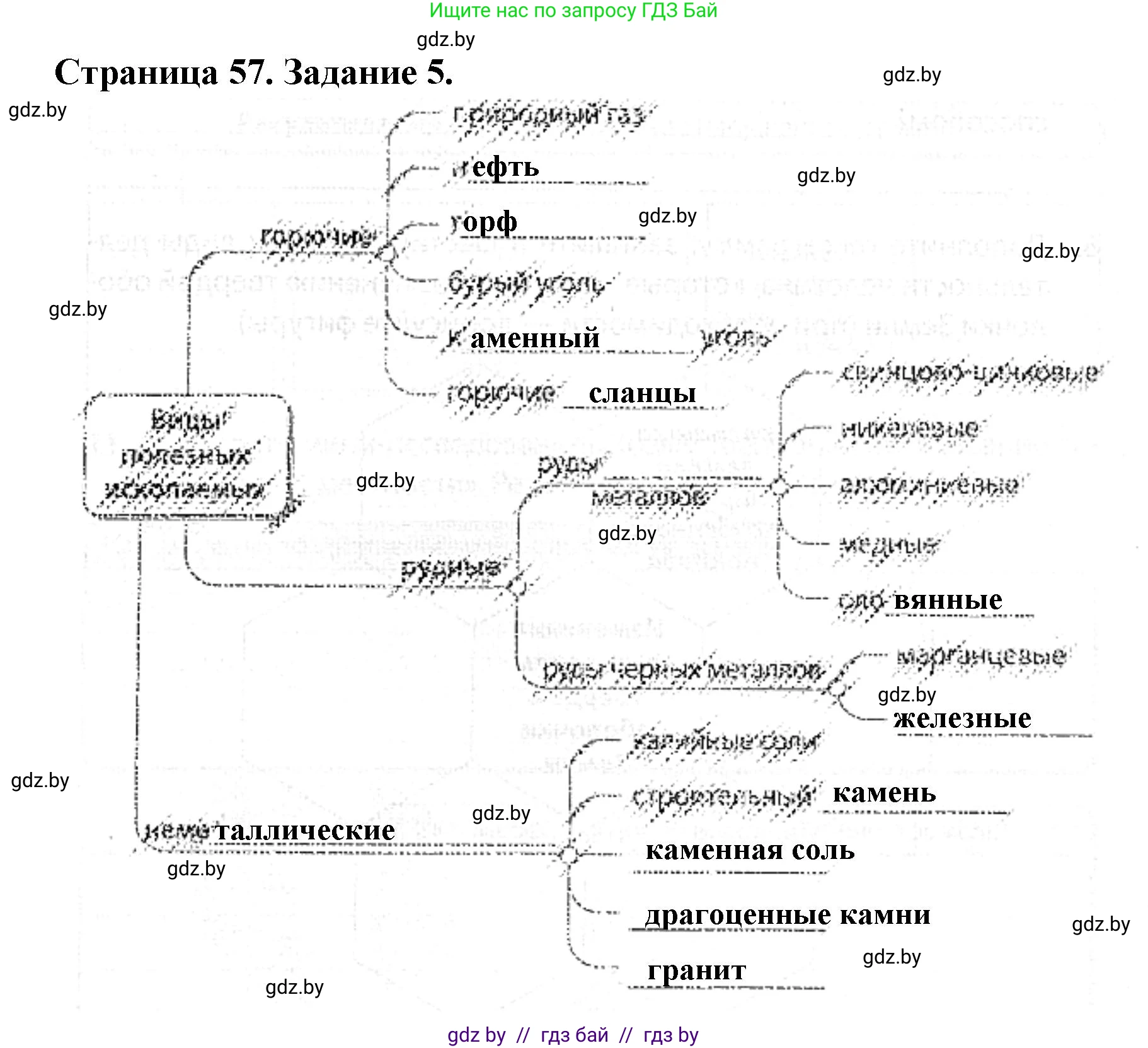 Человек и мир, 5 класс Практикум, авторы: Кольмакова Елена Генадьевна, Сарычева Ольга Владимировна, издательство Аверсэв, Минск, 2022, голубого цвета, страница 57, номер 5, Решение