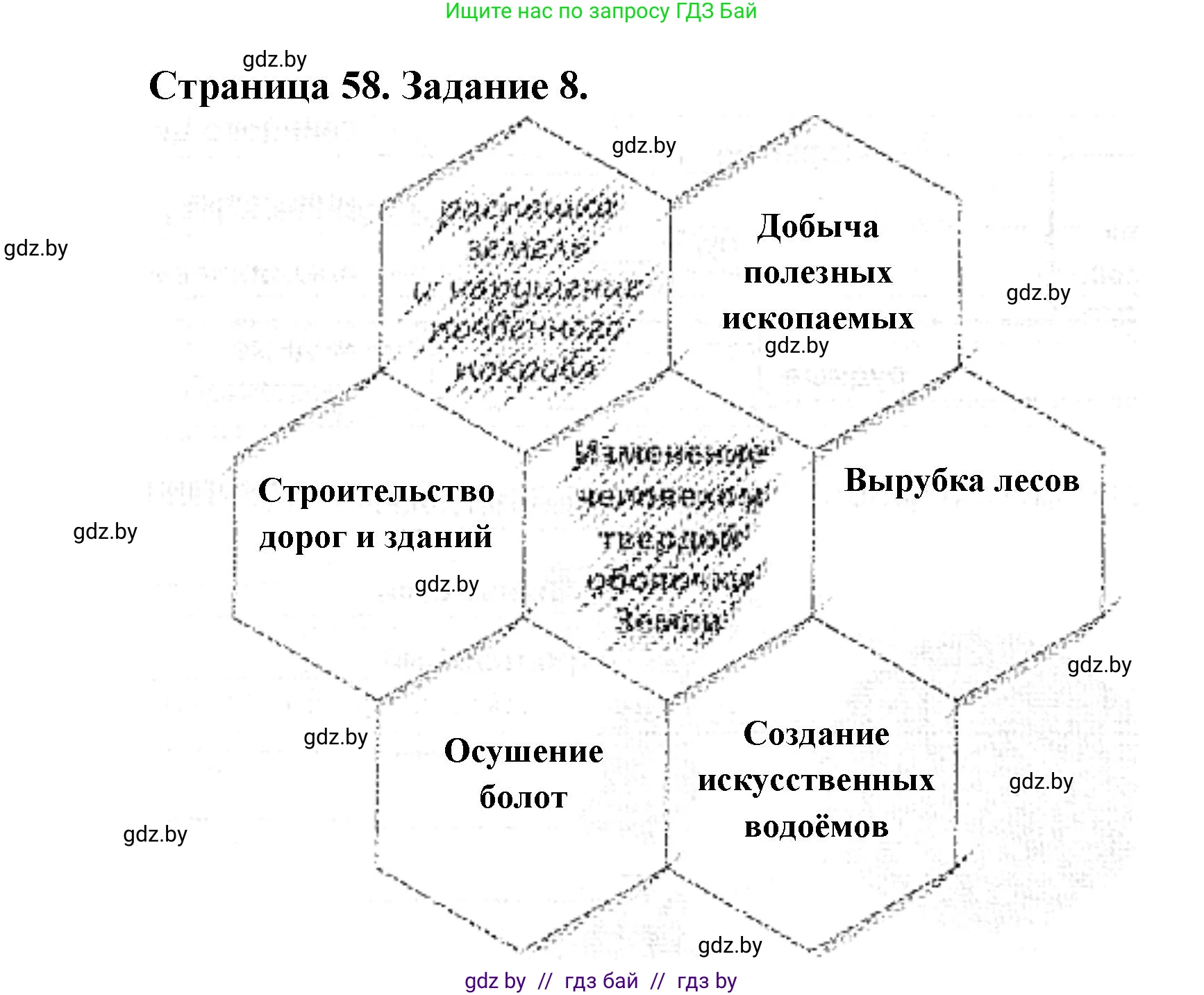Человек и мир, 5 класс Практикум, авторы: Кольмакова Елена Генадьевна, Сарычева Ольга Владимировна, издательство Аверсэв, Минск, 2022, голубого цвета, страница 58, номер 8, Решение