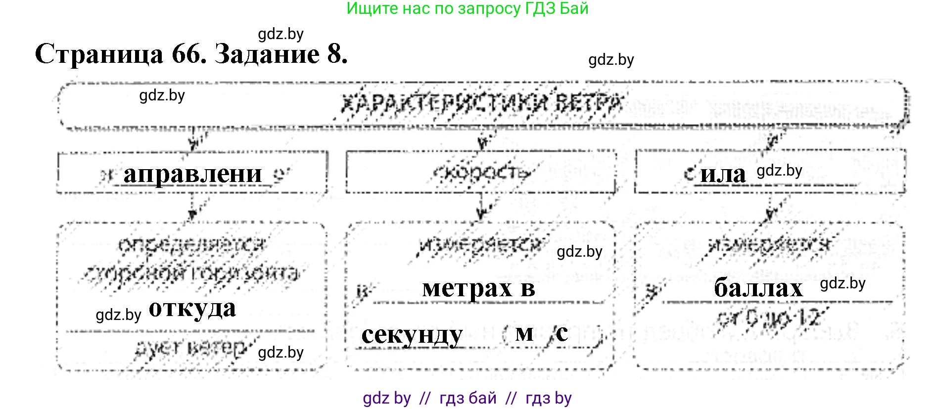 Человек и мир, 5 класс Практикум, авторы: Кольмакова Елена Генадьевна, Сарычева Ольга Владимировна, издательство Аверсэв, Минск, 2022, голубого цвета, страница 66, номер 8, Решение