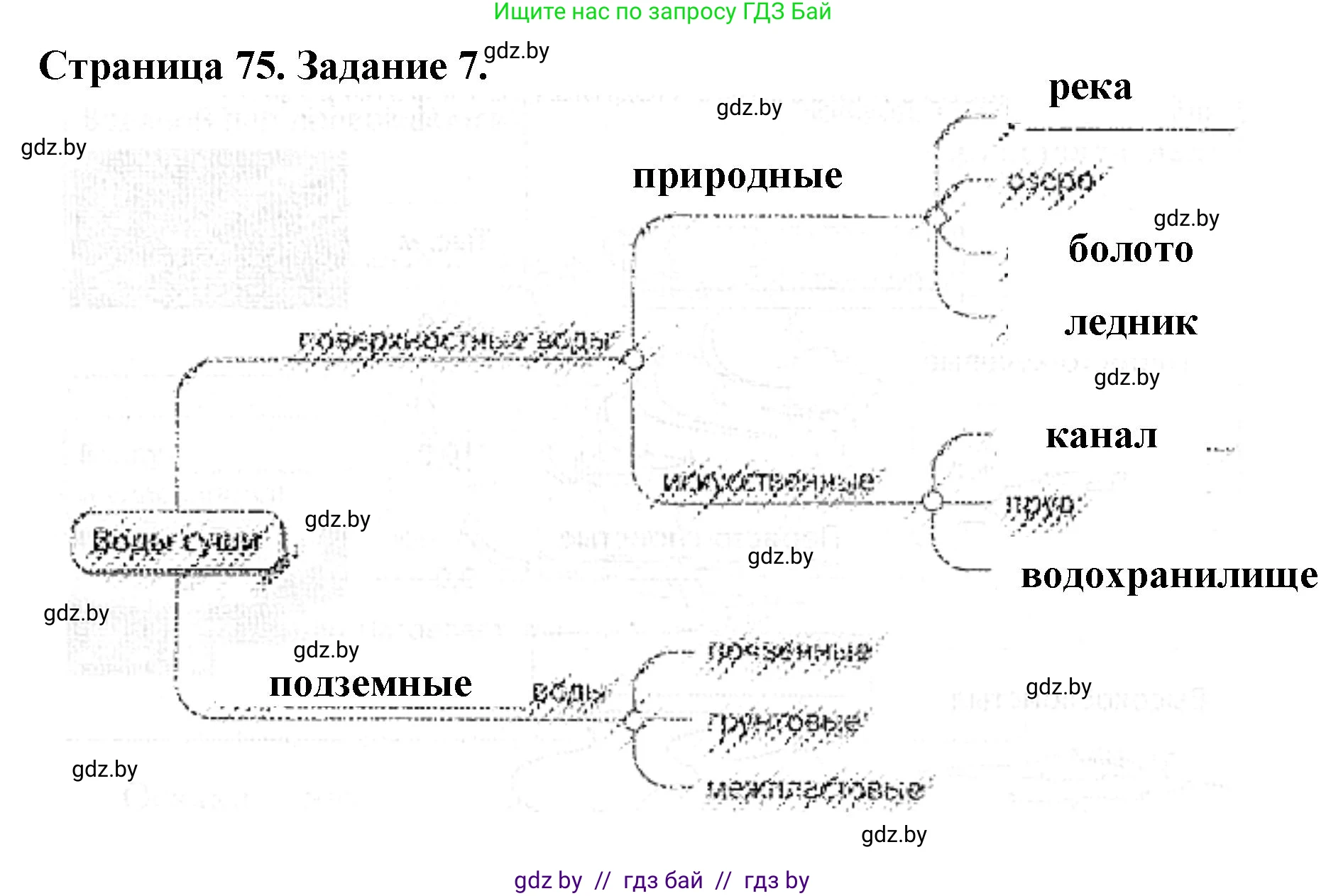 Человек и мир, 5 класс Практикум, авторы: Кольмакова Елена Генадьевна, Сарычева Ольга Владимировна, издательство Аверсэв, Минск, 2022, голубого цвета, страница 75, номер 7, Решение