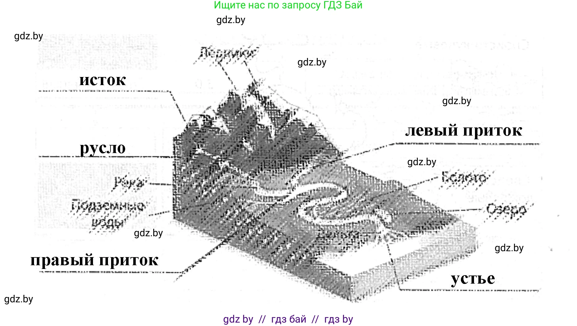 Человек и мир, 5 класс Практикум, авторы: Кольмакова Елена Генадьевна, Сарычева Ольга Владимировна, издательство Аверсэв, Минск, 2022, голубого цвета, страница 75, номер 8, Решение