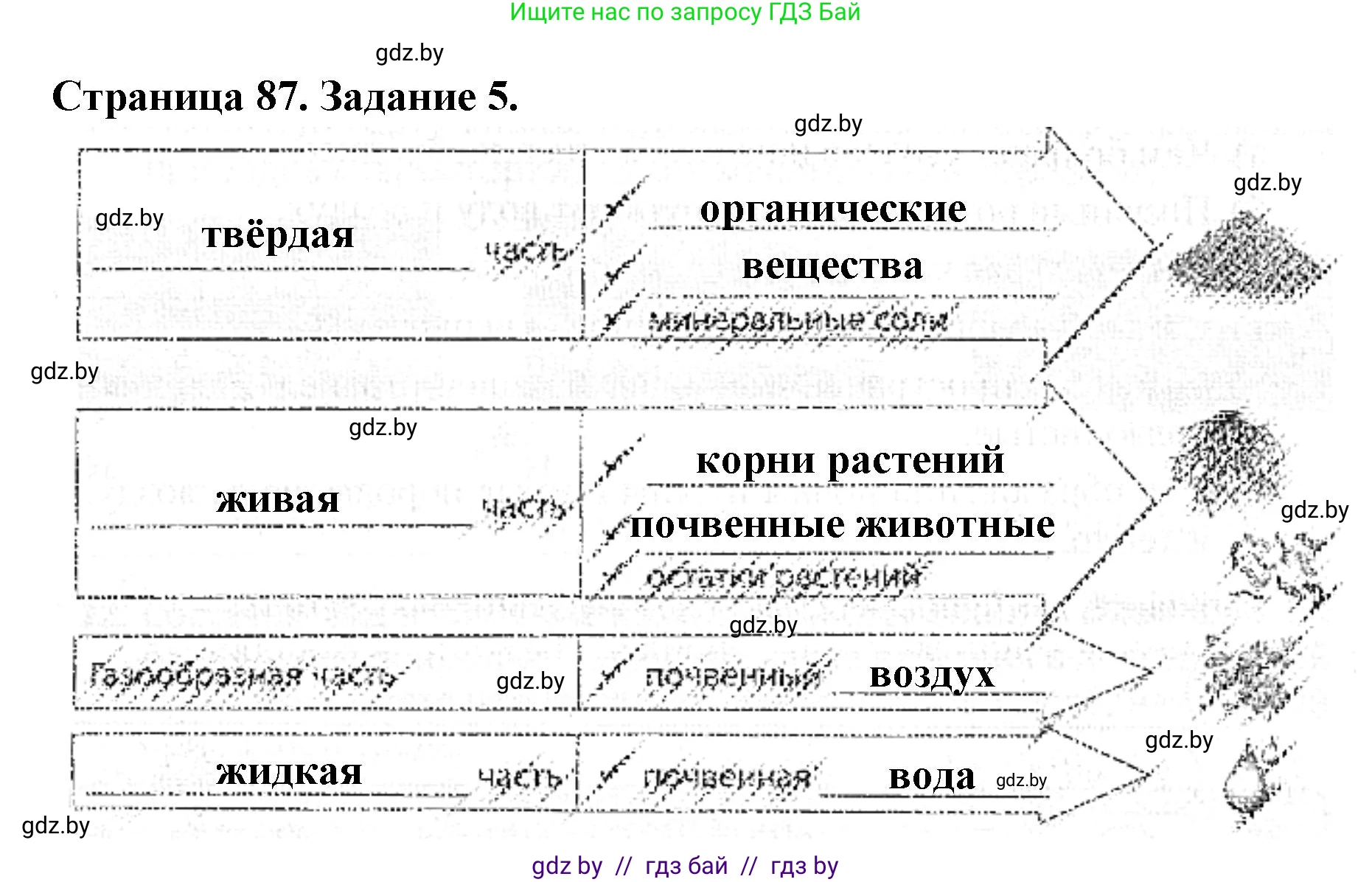 Человек и мир, 5 класс Практикум, авторы: Кольмакова Елена Генадьевна, Сарычева Ольга Владимировна, издательство Аверсэв, Минск, 2022, голубого цвета, страница 87, номер 5, Решение