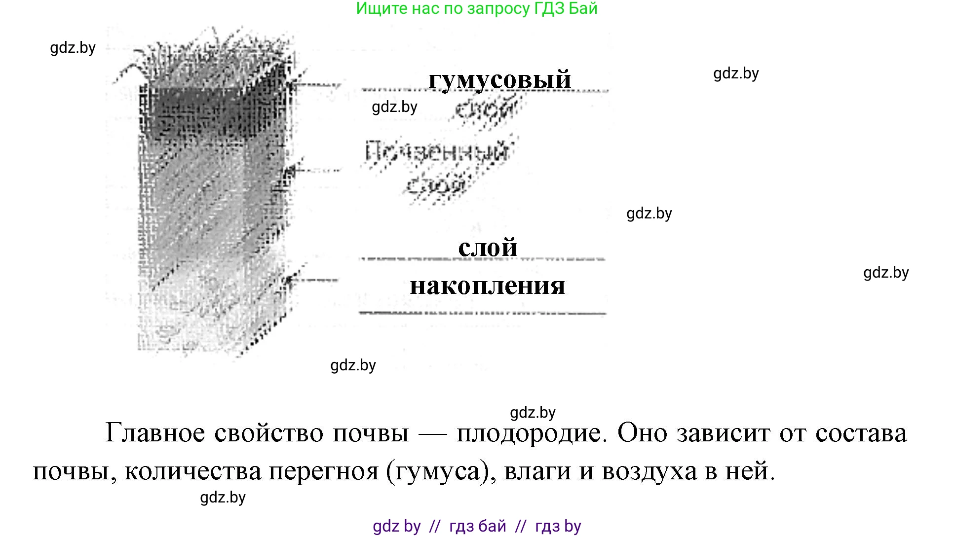 Человек и мир, 5 класс Практикум, авторы: Кольмакова Елена Генадьевна, Сарычева Ольга Владимировна, издательство Аверсэв, Минск, 2022, голубого цвета, страница 87, номер 6, Решение