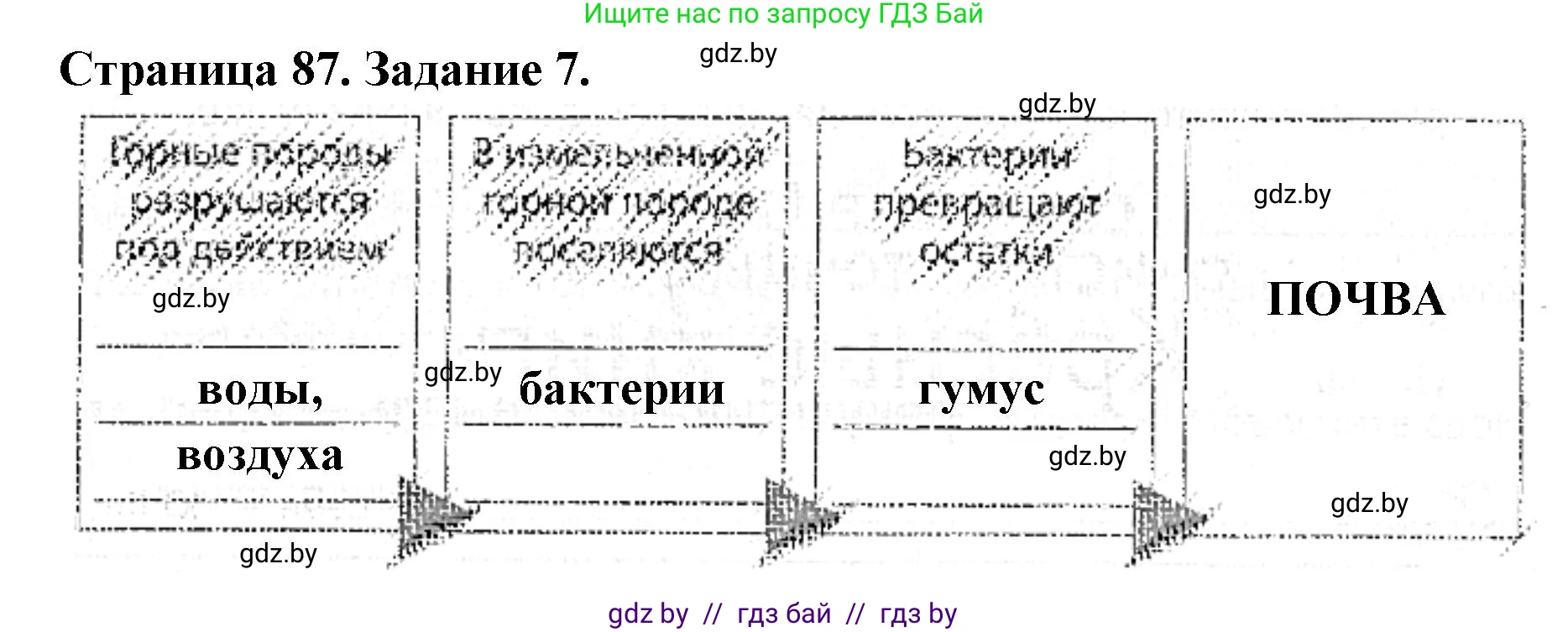 Человек и мир, 5 класс Практикум, авторы: Кольмакова Елена Генадьевна, Сарычева Ольга Владимировна, издательство Аверсэв, Минск, 2022, голубого цвета, страница 87, номер 7, Решение