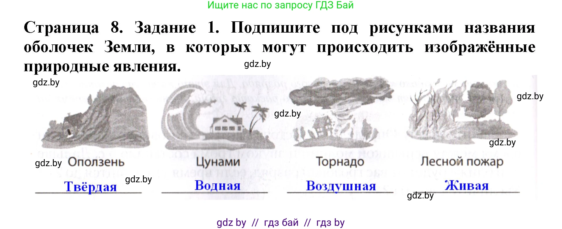 Человек и мир, 5 класс рабочая тетрадь, авторы: Лопух Пётр Степанович, Шкель Людмила Валерьевна, издательство Аверсэв, Минск, 2022, страница 8, номер 1, Решение