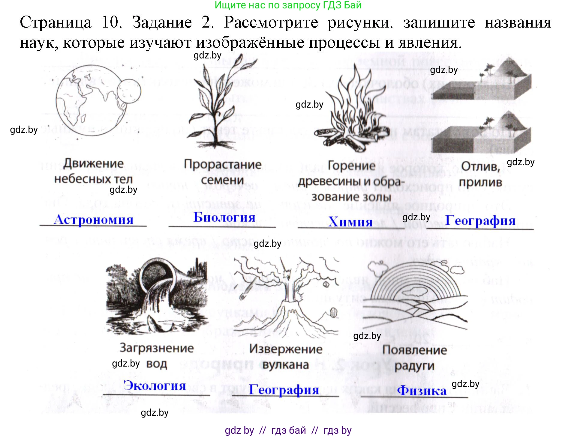 Человек и мир, 5 класс рабочая тетрадь, авторы: Лопух Пётр Степанович, Шкель Людмила Валерьевна, издательство Аверсэв, Минск, 2022, страница 10, номер 2, Решение