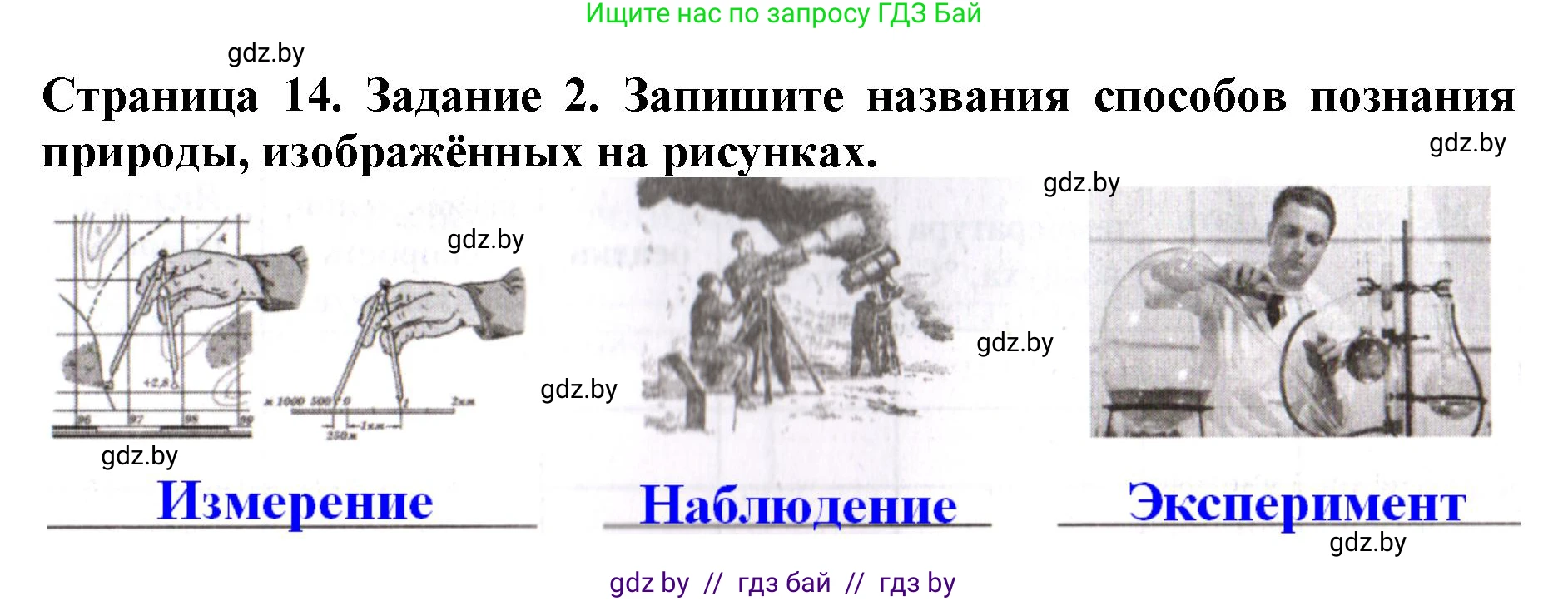 Человек и мир, 5 класс рабочая тетрадь, авторы: Лопух Пётр Степанович, Шкель Людмила Валерьевна, издательство Аверсэв, Минск, 2022, страница 14, номер 2, Решение