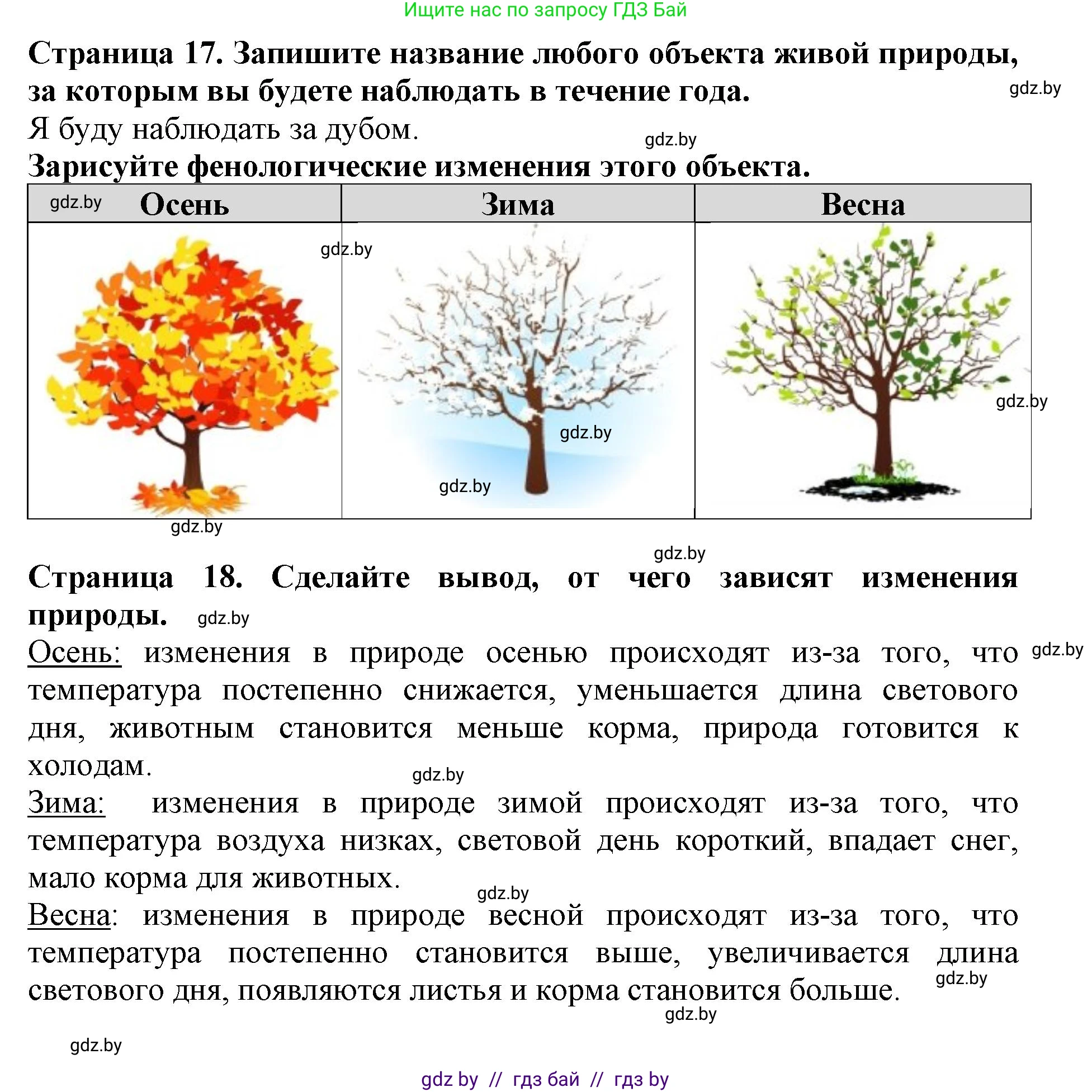 Человек и мир, 5 класс рабочая тетрадь, авторы: Лопух Пётр Степанович, Шкель Людмила Валерьевна, издательство Аверсэв, Минск, 2022, страница 17, номер 2, Решение