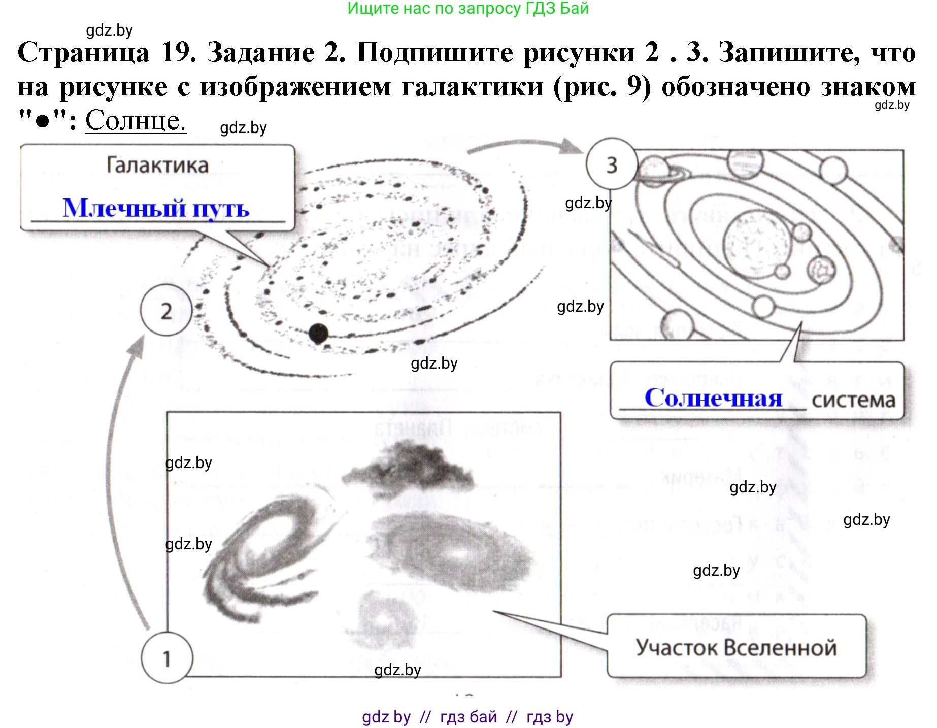 Человек и мир, 5 класс рабочая тетрадь, авторы: Лопух Пётр Степанович, Шкель Людмила Валерьевна, издательство Аверсэв, Минск, 2022, страница 19, номер 2, Решение