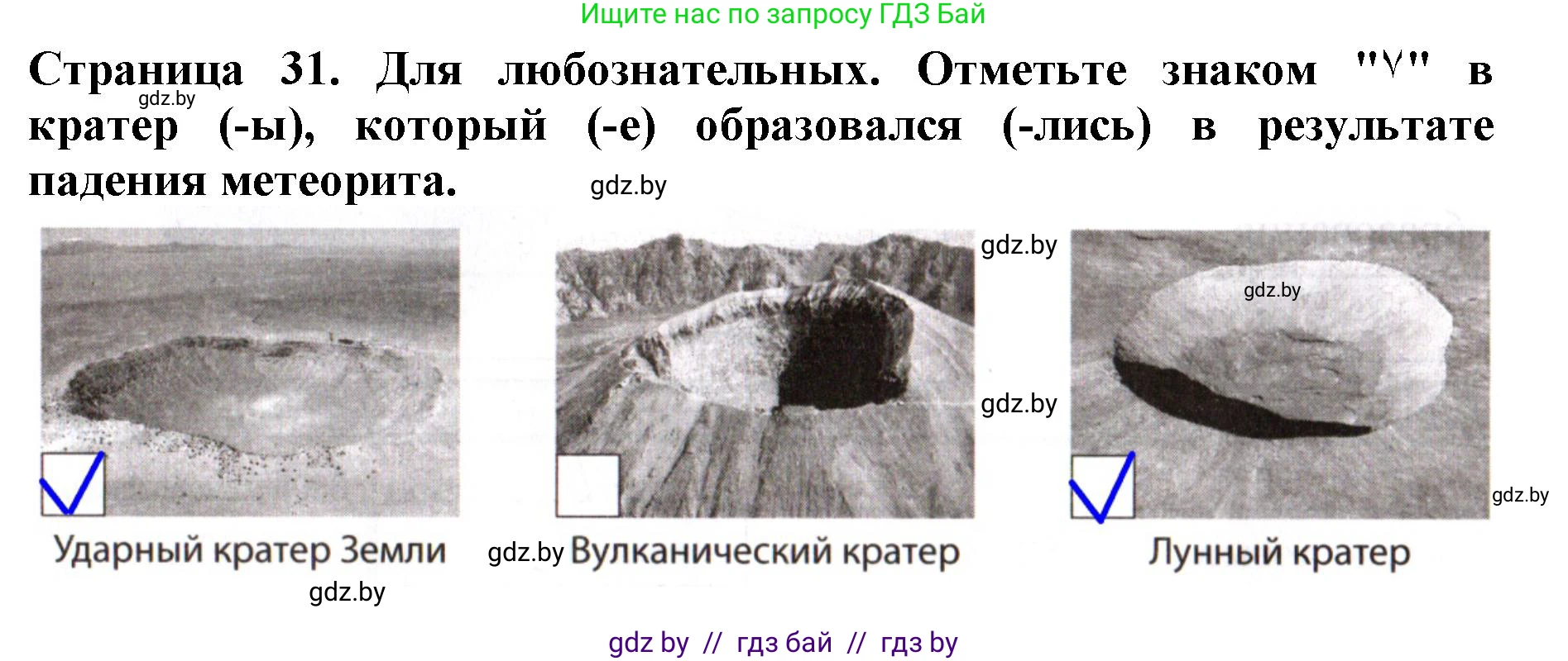 Человек и мир, 5 класс рабочая тетрадь, авторы: Лопух Пётр Степанович, Шкель Людмила Валерьевна, издательство Аверсэв, Минск, 2022, страница 31, номер 1, Решение