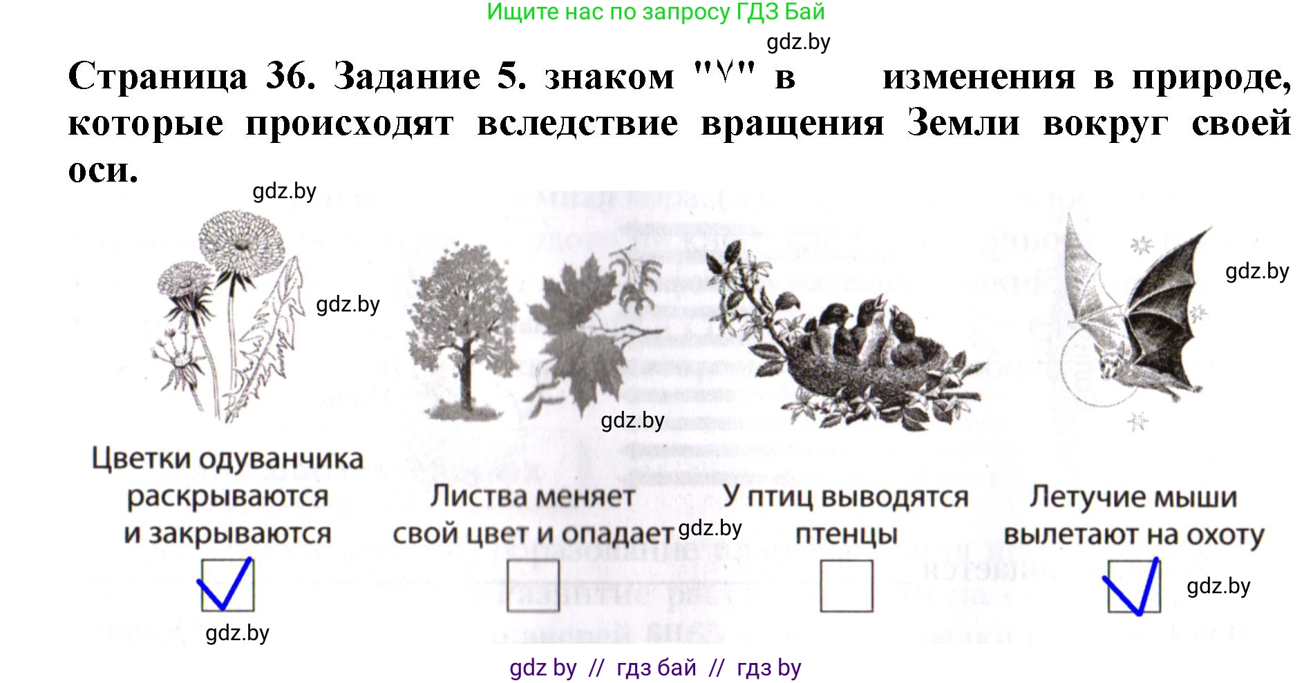 Человек и мир, 5 класс рабочая тетрадь, авторы: Лопух Пётр Степанович, Шкель Людмила Валерьевна, издательство Аверсэв, Минск, 2022, страница 36, номер 5, Решение