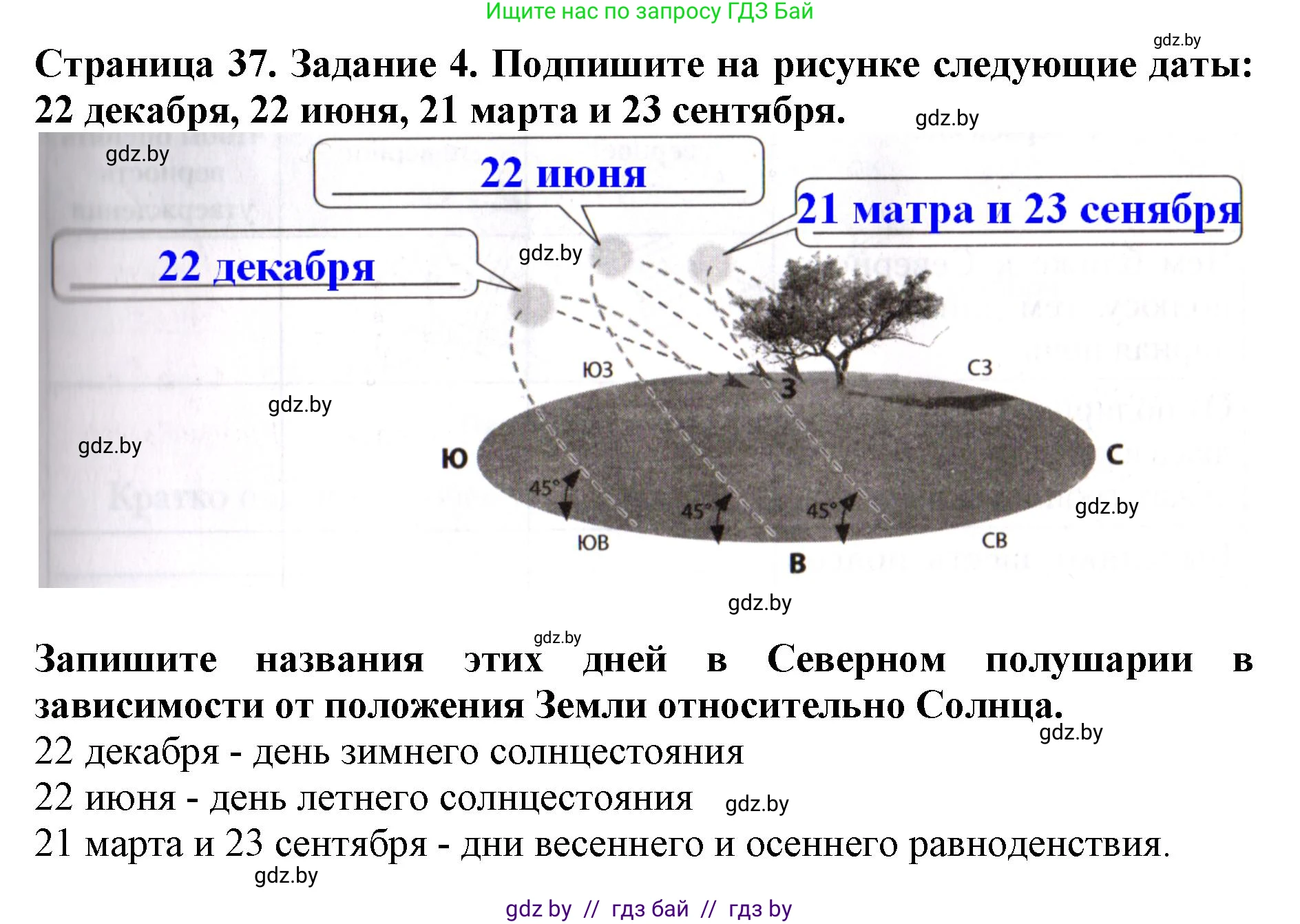 Человек и мир, 5 класс рабочая тетрадь, авторы: Лопух Пётр Степанович, Шкель Людмила Валерьевна, издательство Аверсэв, Минск, 2022, страница 37, номер 4, Решение