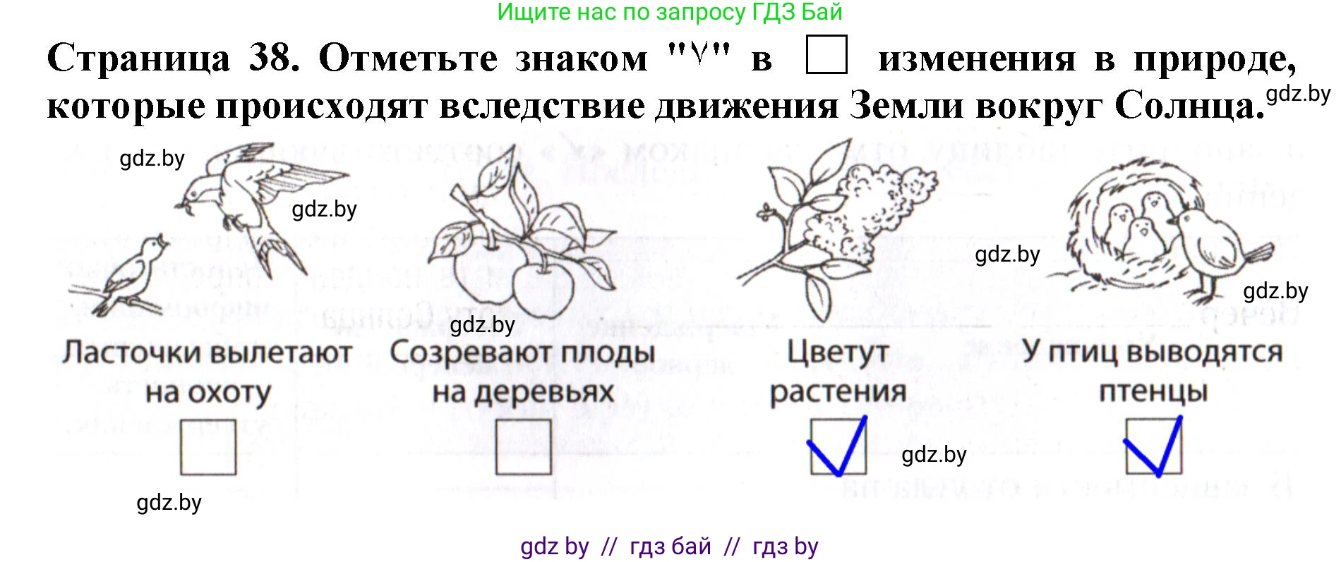 Человек и мир, 5 класс рабочая тетрадь, авторы: Лопух Пётр Степанович, Шкель Людмила Валерьевна, издательство Аверсэв, Минск, 2022, страница 38, номер 6, Решение