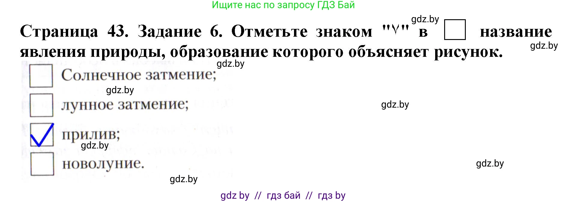 Человек и мир, 5 класс рабочая тетрадь, авторы: Лопух Пётр Степанович, Шкель Людмила Валерьевна, издательство Аверсэв, Минск, 2022, страница 43, номер 6, Решение