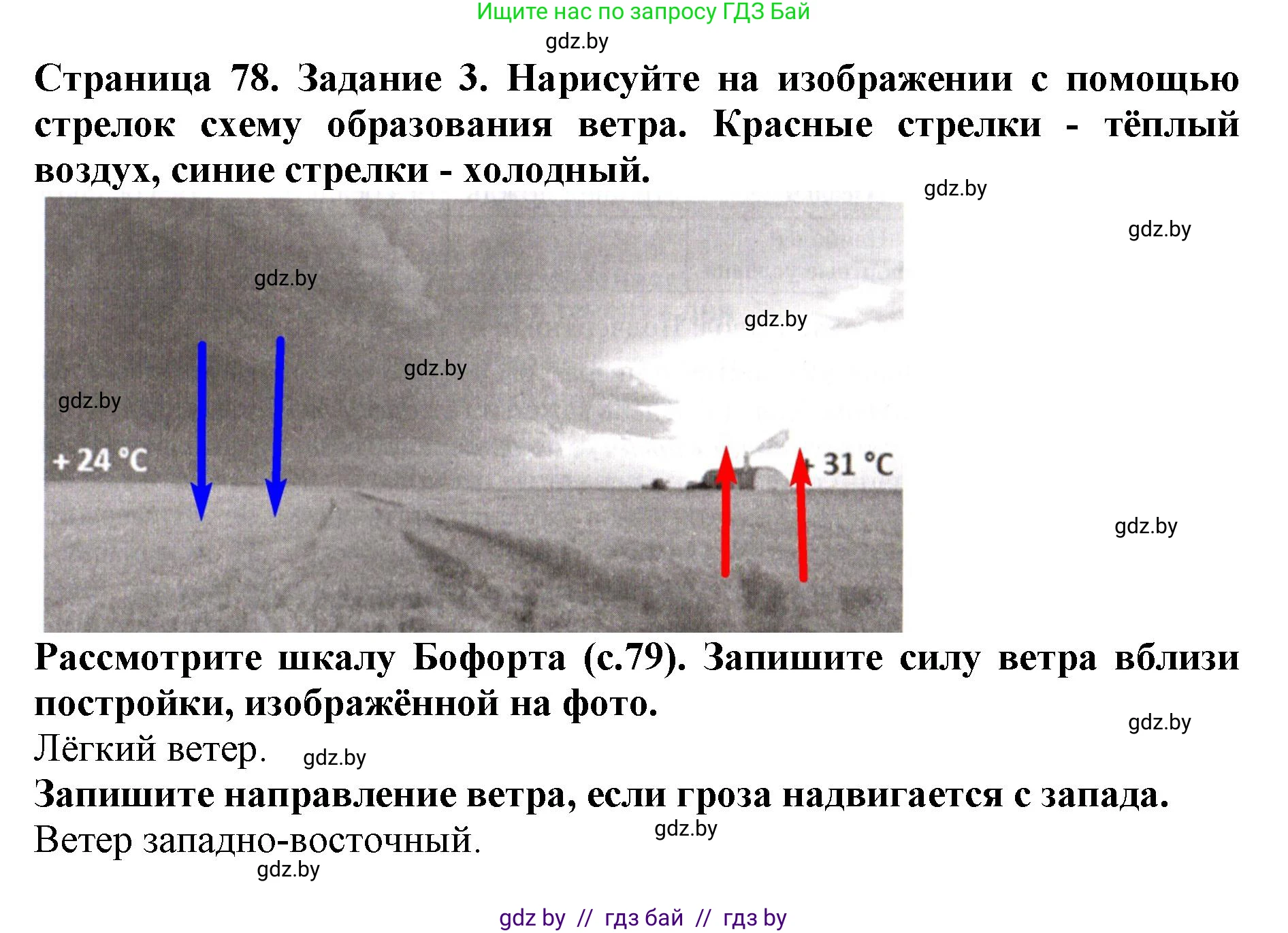 Человек и мир, 5 класс рабочая тетрадь, авторы: Лопух Пётр Степанович, Шкель Людмила Валерьевна, издательство Аверсэв, Минск, 2022, страница 78, номер 3, Решение