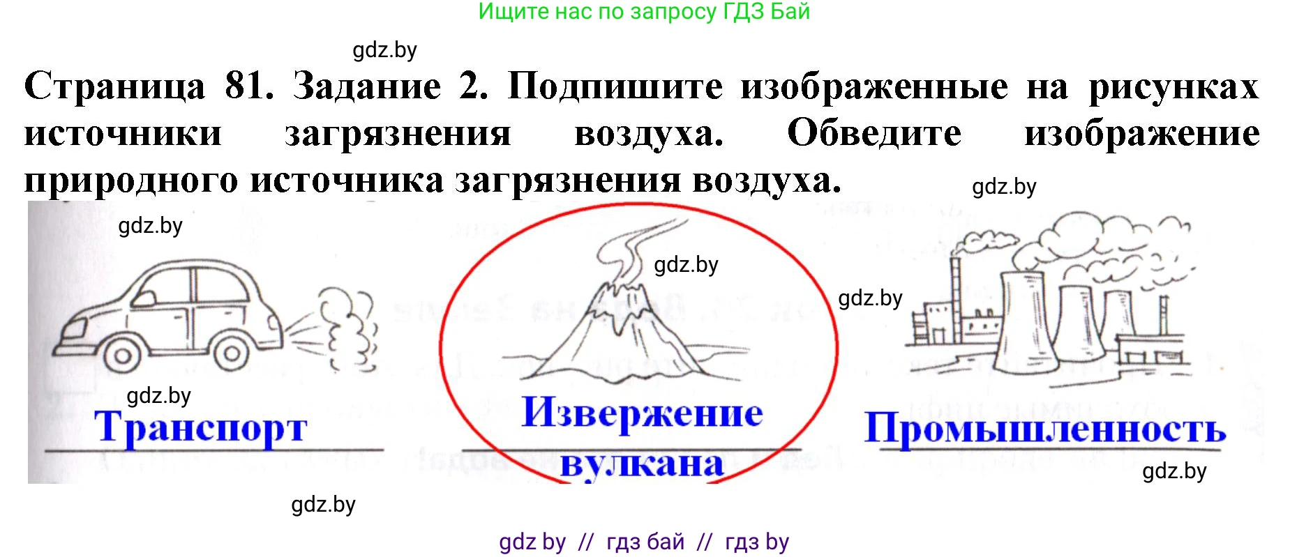 Человек и мир, 5 класс рабочая тетрадь, авторы: Лопух Пётр Степанович, Шкель Людмила Валерьевна, издательство Аверсэв, Минск, 2022, страница 81, номер 2, Решение