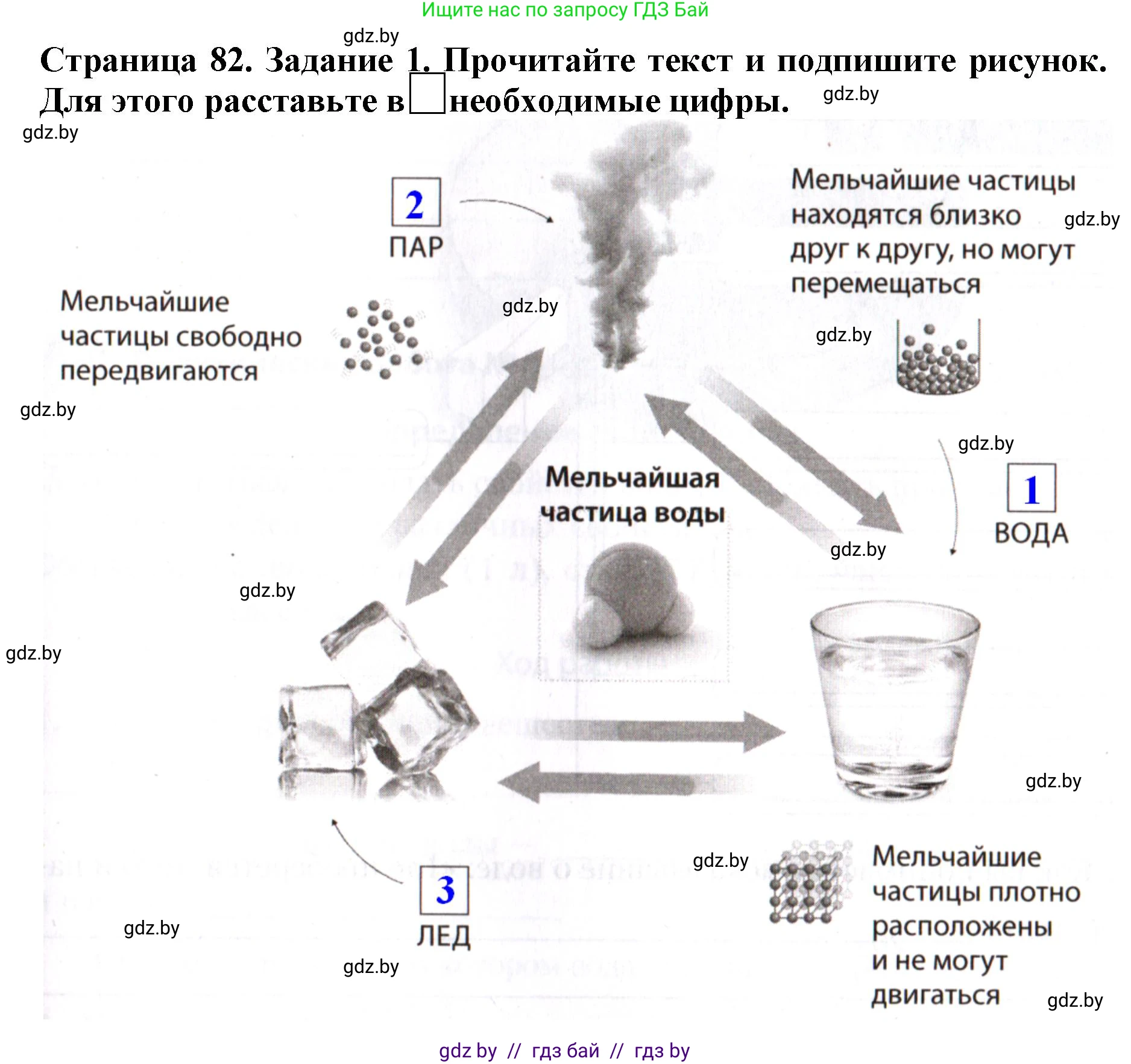 Человек и мир, 5 класс рабочая тетрадь, авторы: Лопух Пётр Степанович, Шкель Людмила Валерьевна, издательство Аверсэв, Минск, 2022, страница 82, номер 1, Решение